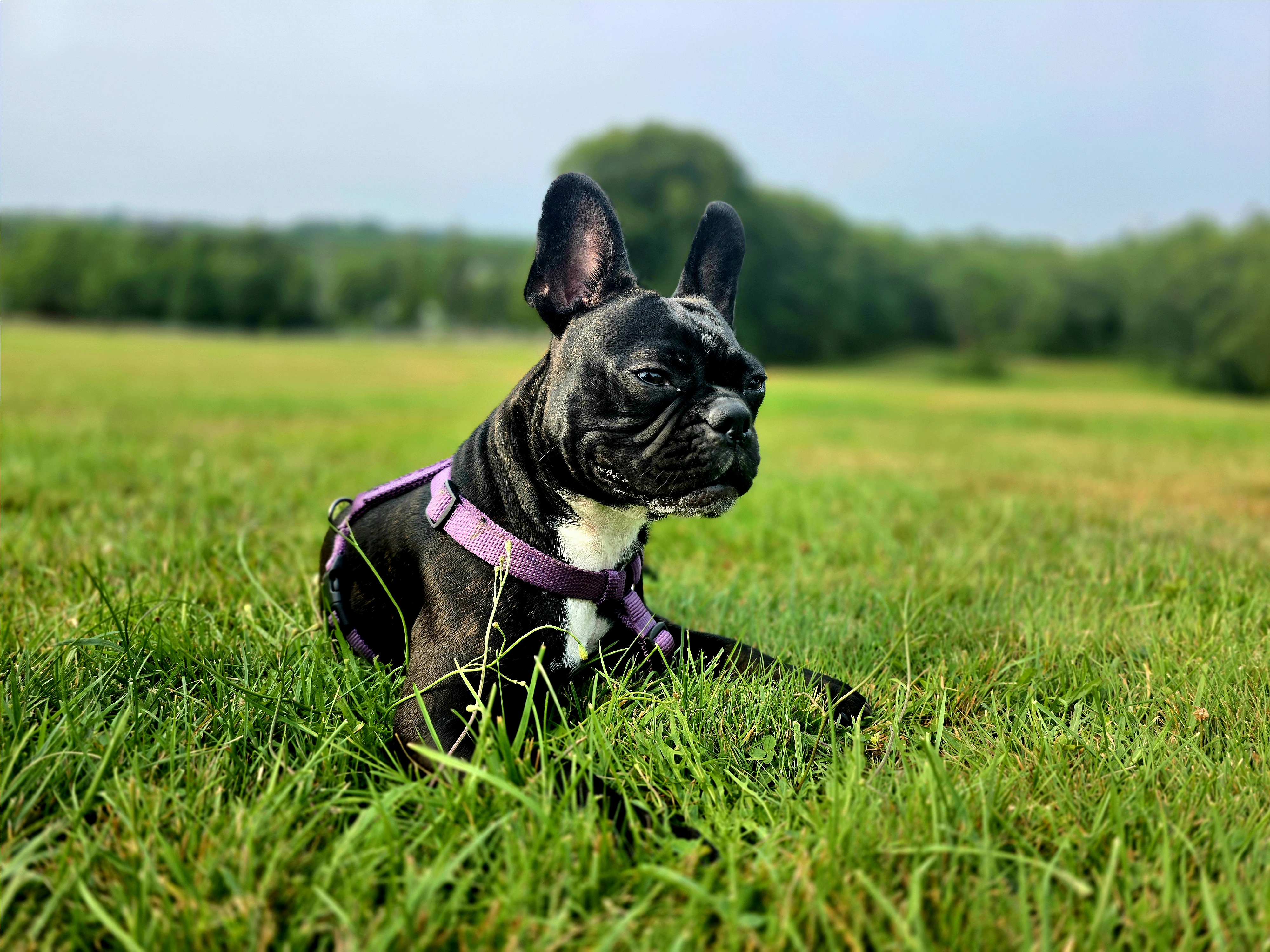 Photo Review Submission from Eliver Rodriguez