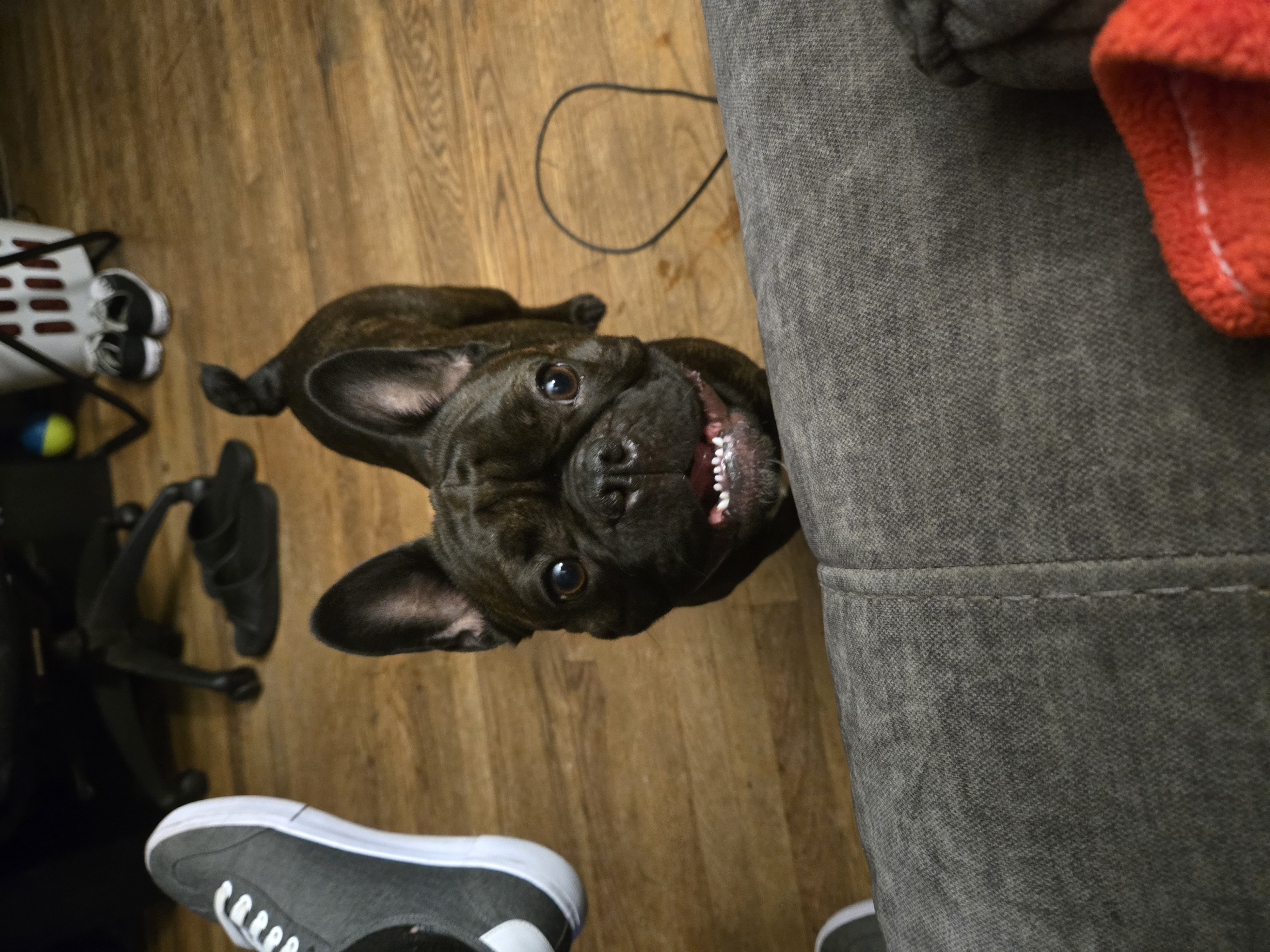 Photo Review Submission from Herbert Lawless