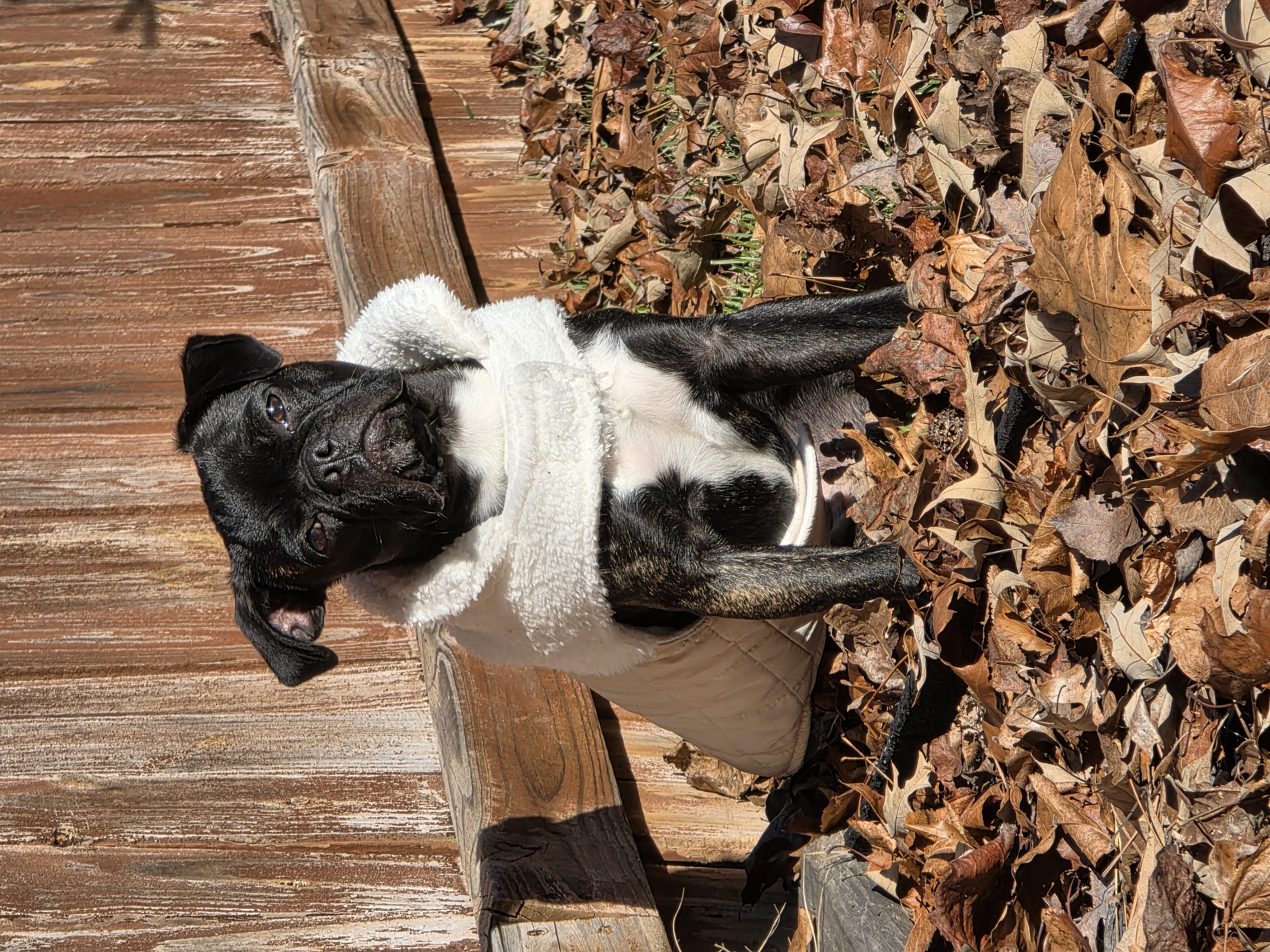 Photo Review Submission from Lisa Roper