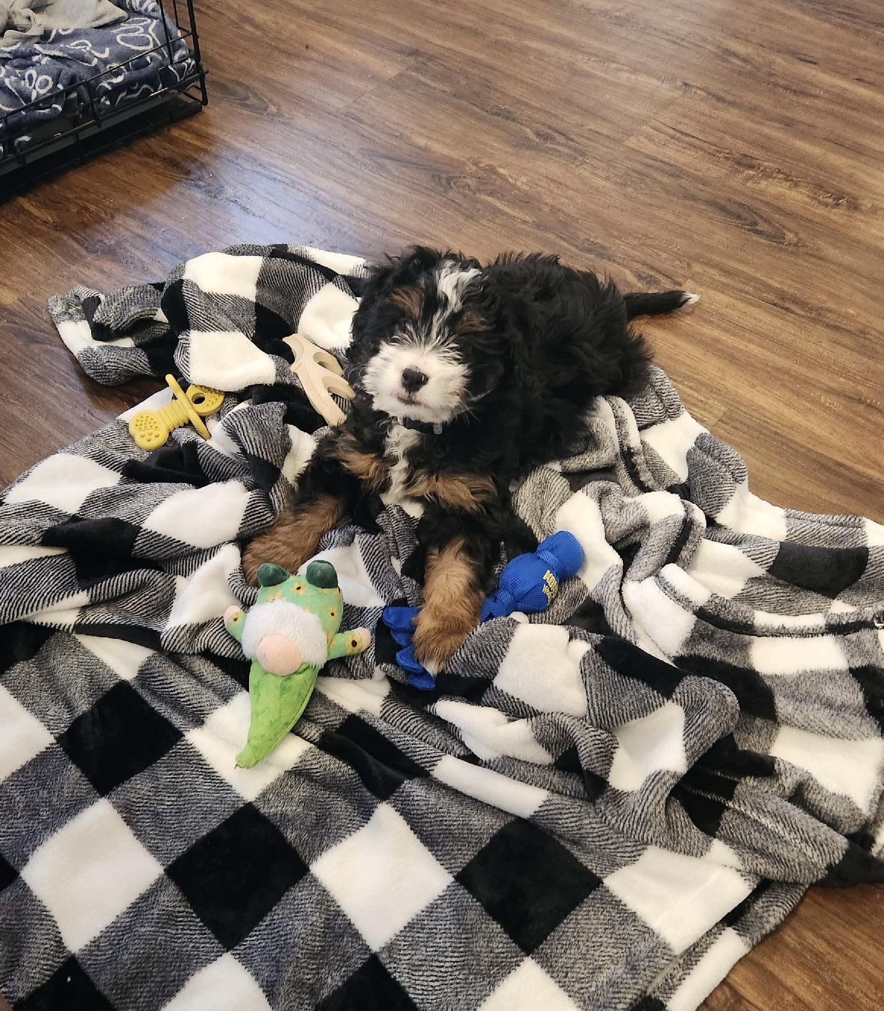 Photo Review Submission from Harry Adieyefeh Jr