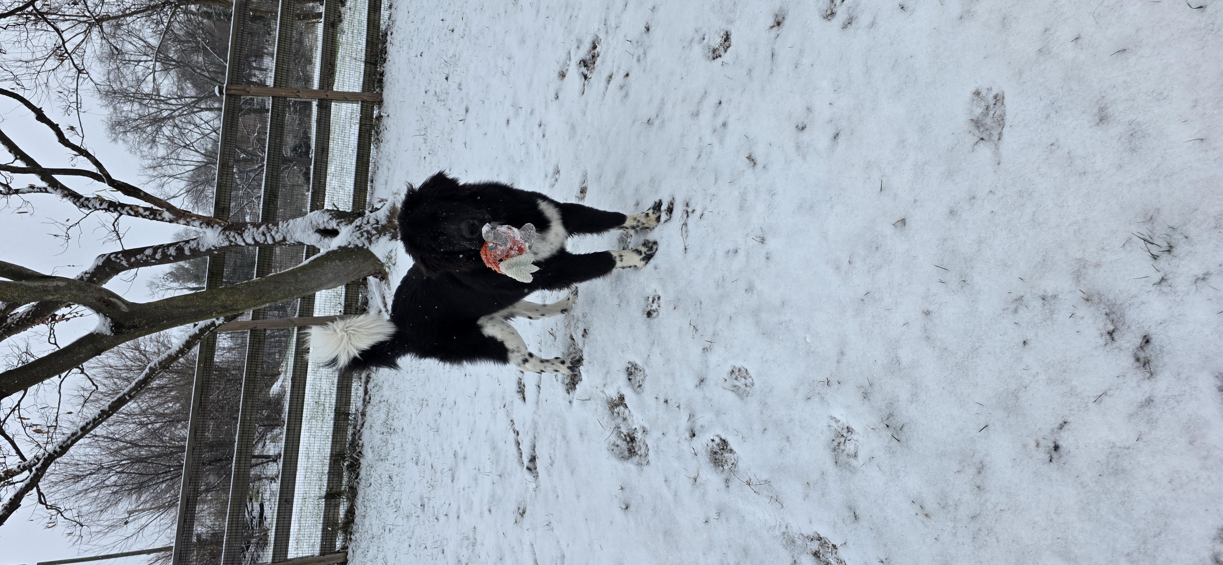 Photo Review Submission from Chase Green