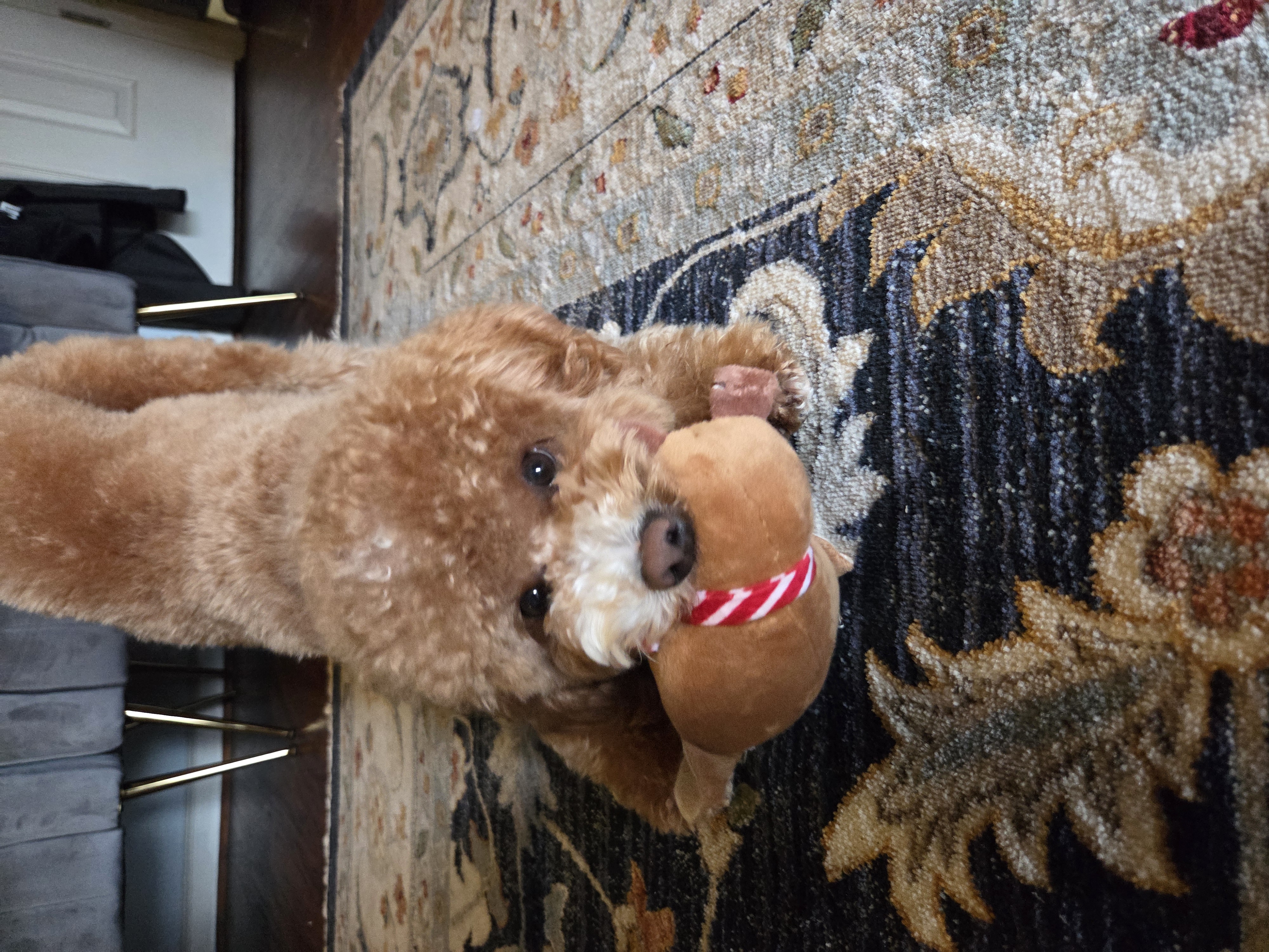 Photo Review Submission from Felicia Morales