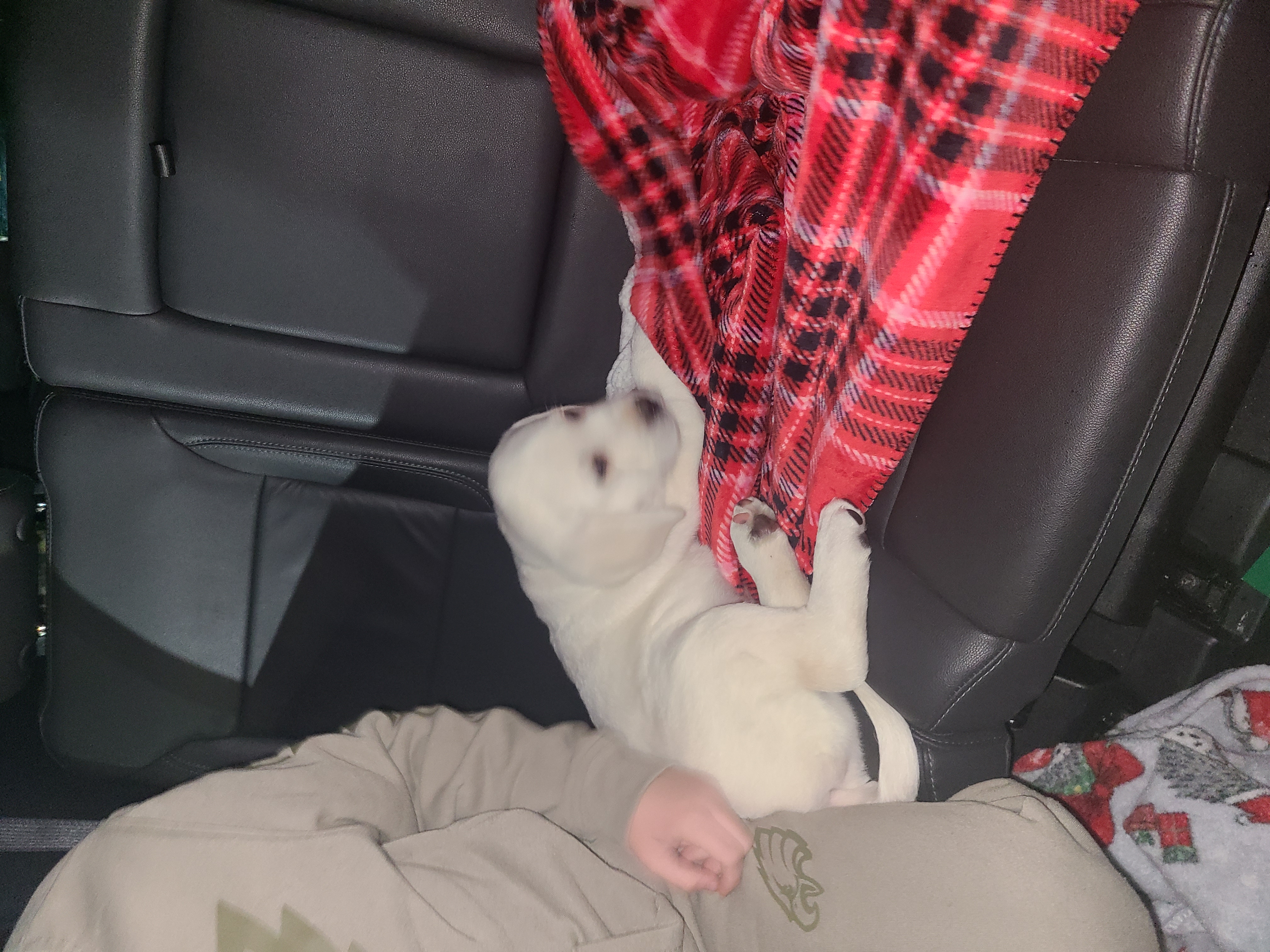 Photo Review Submission from Michael Staines