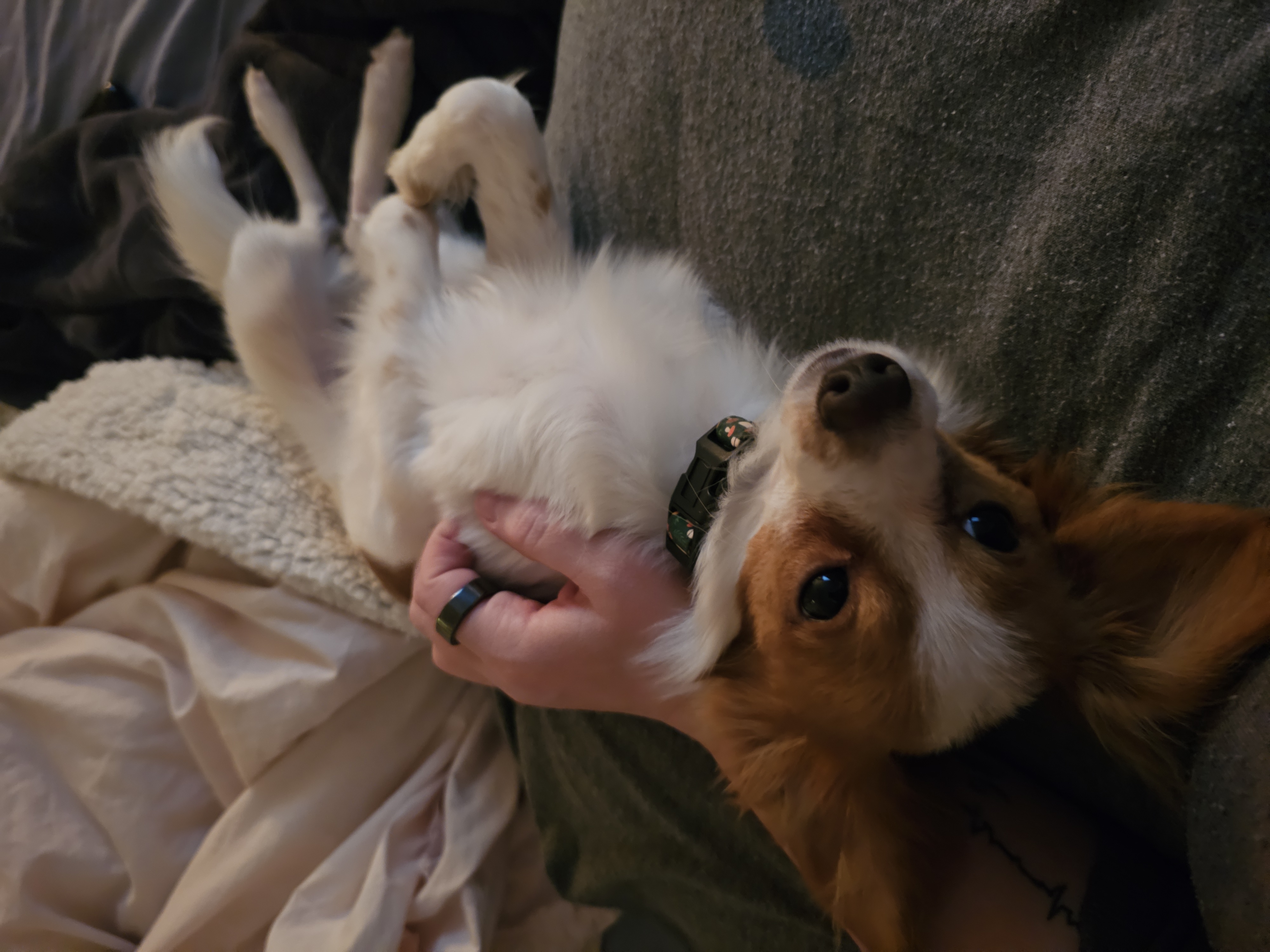 Photo Review Submission from Raychel Ackley