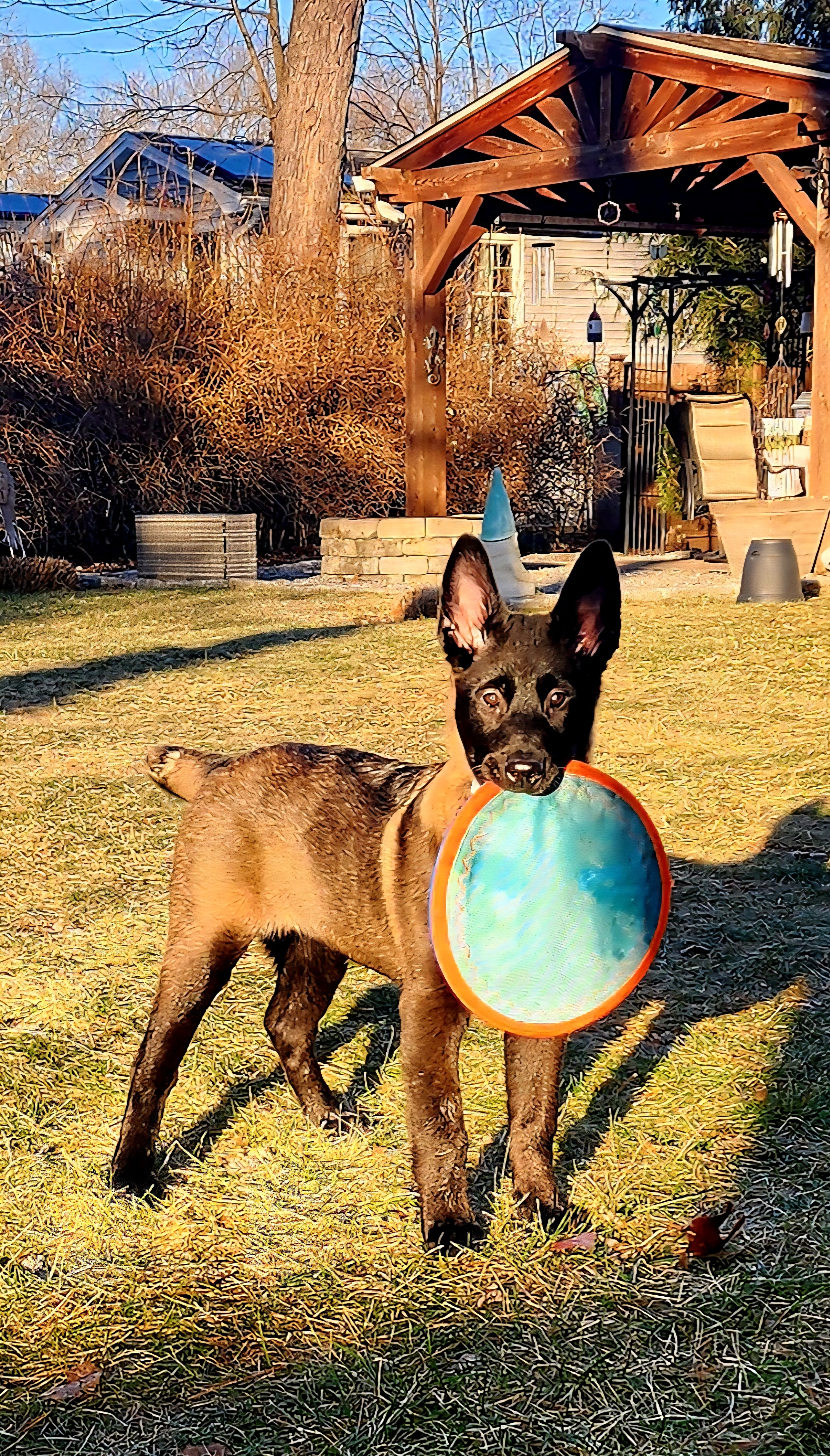 Photo Review Submission from John Capobianco