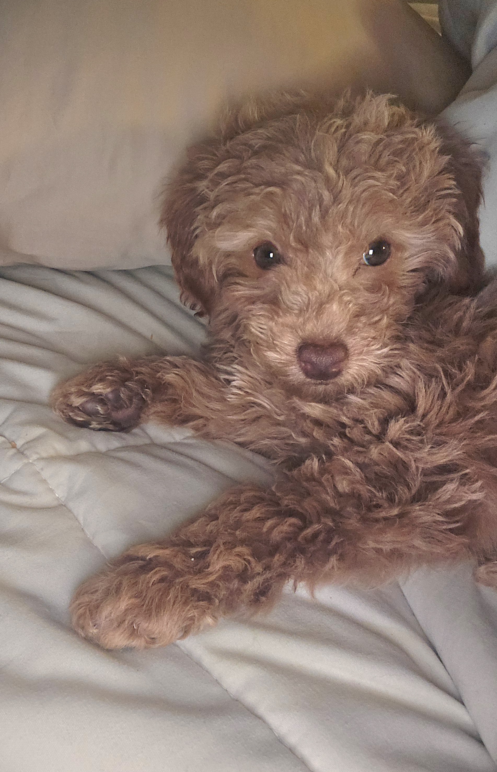 Photo Review Submission from Sharimah Jones