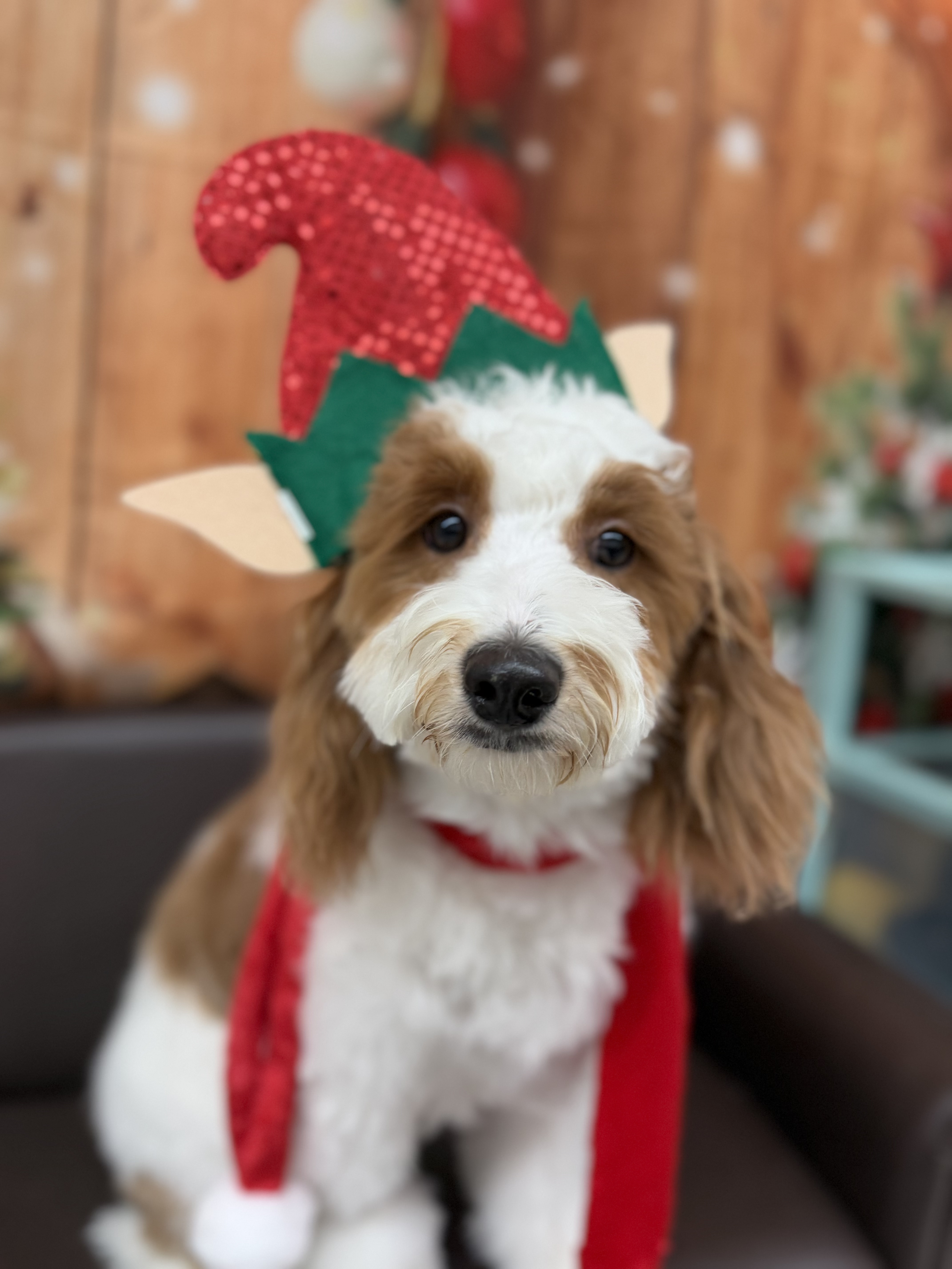 Photo Review Submission from Susan Cromonic