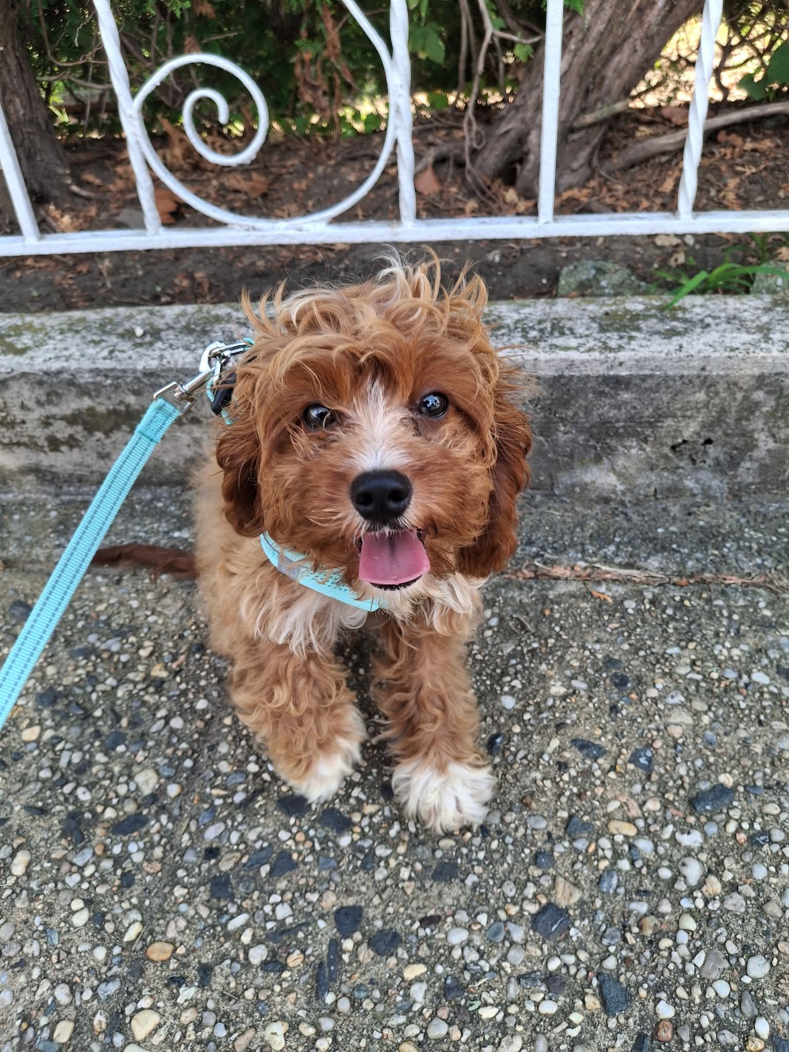 Photo Review Submission from elisa D