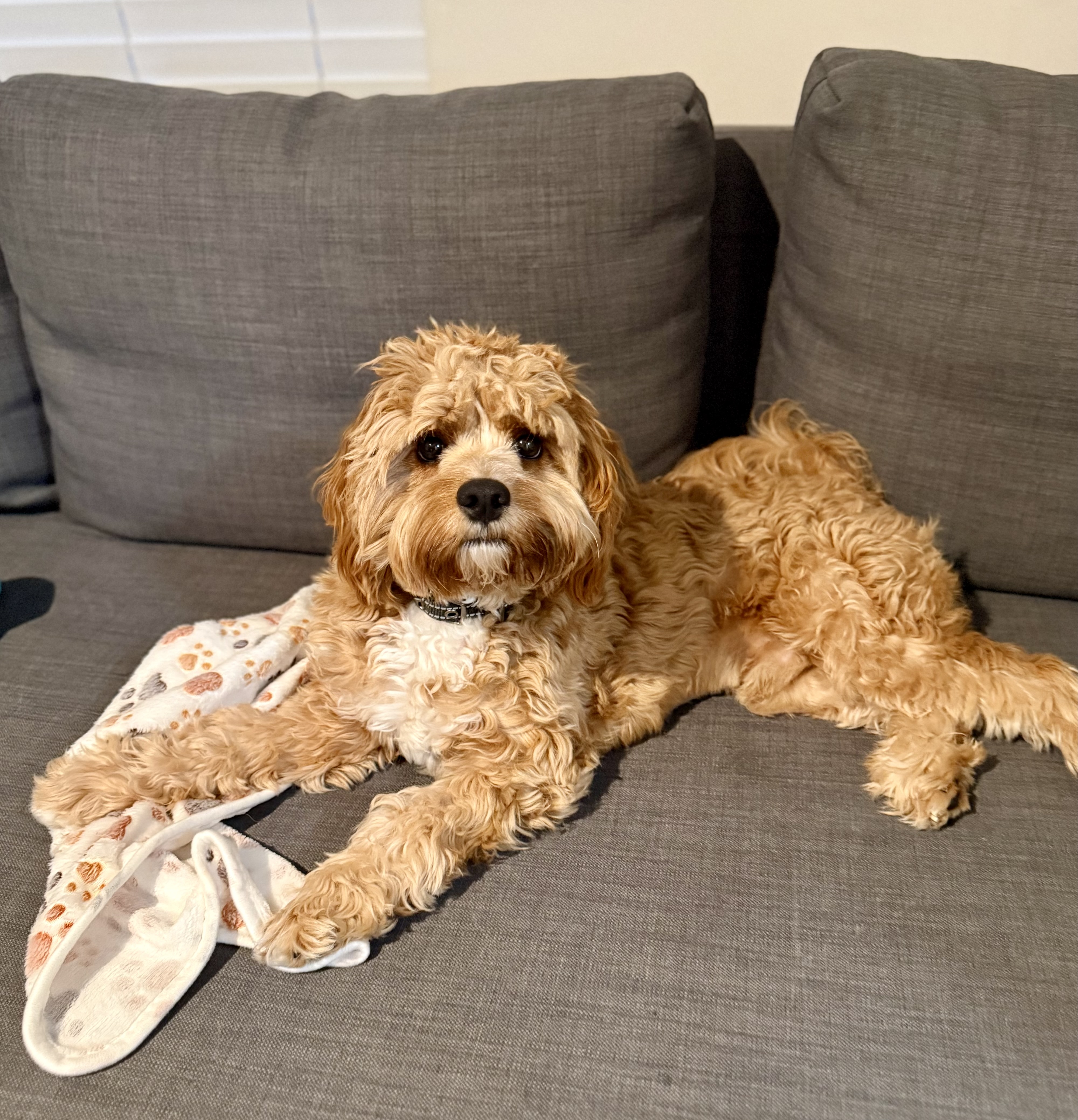 Photo Review Submission from Ary Gialanella