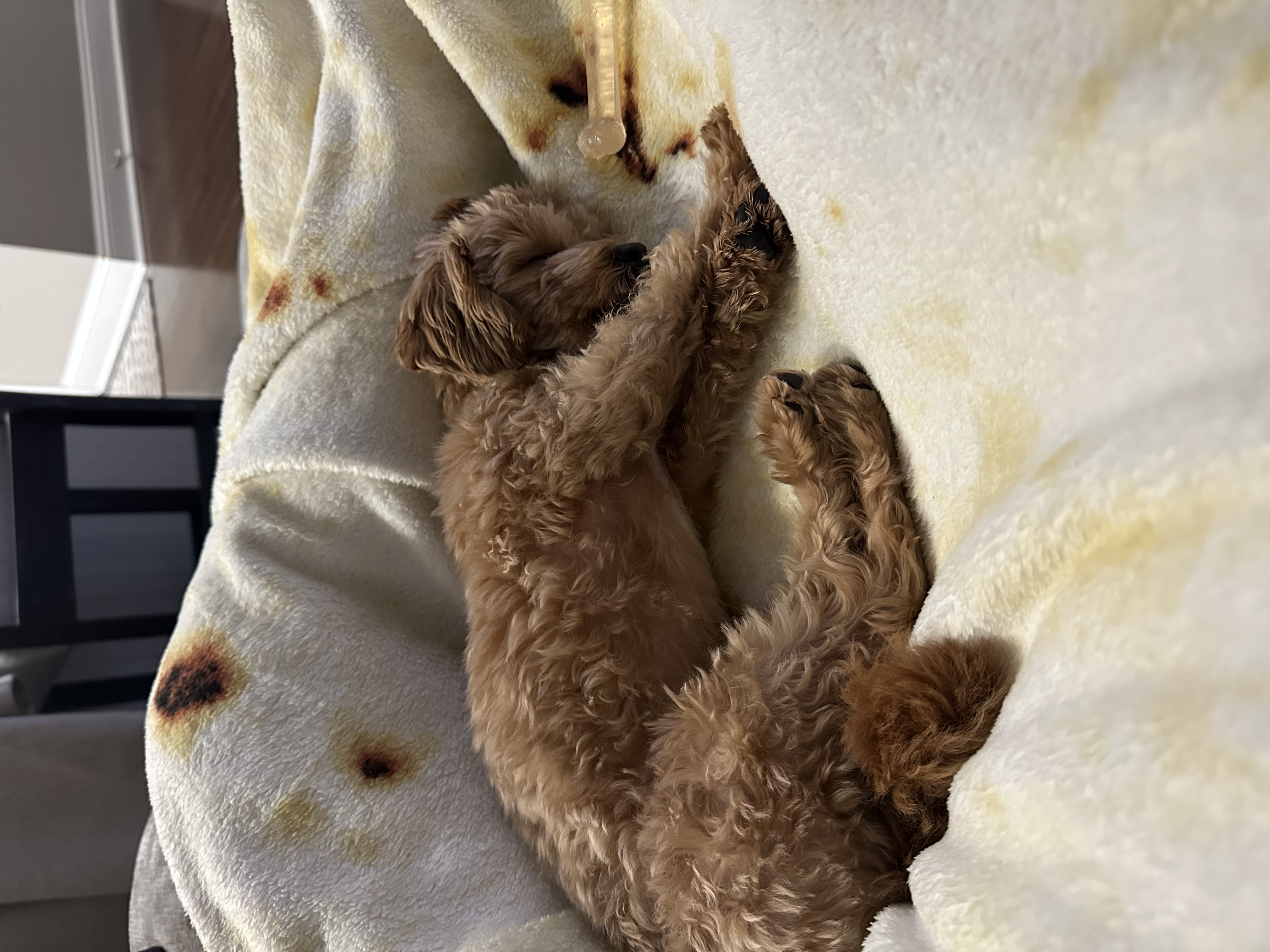 Photo Review Submission from Meck B