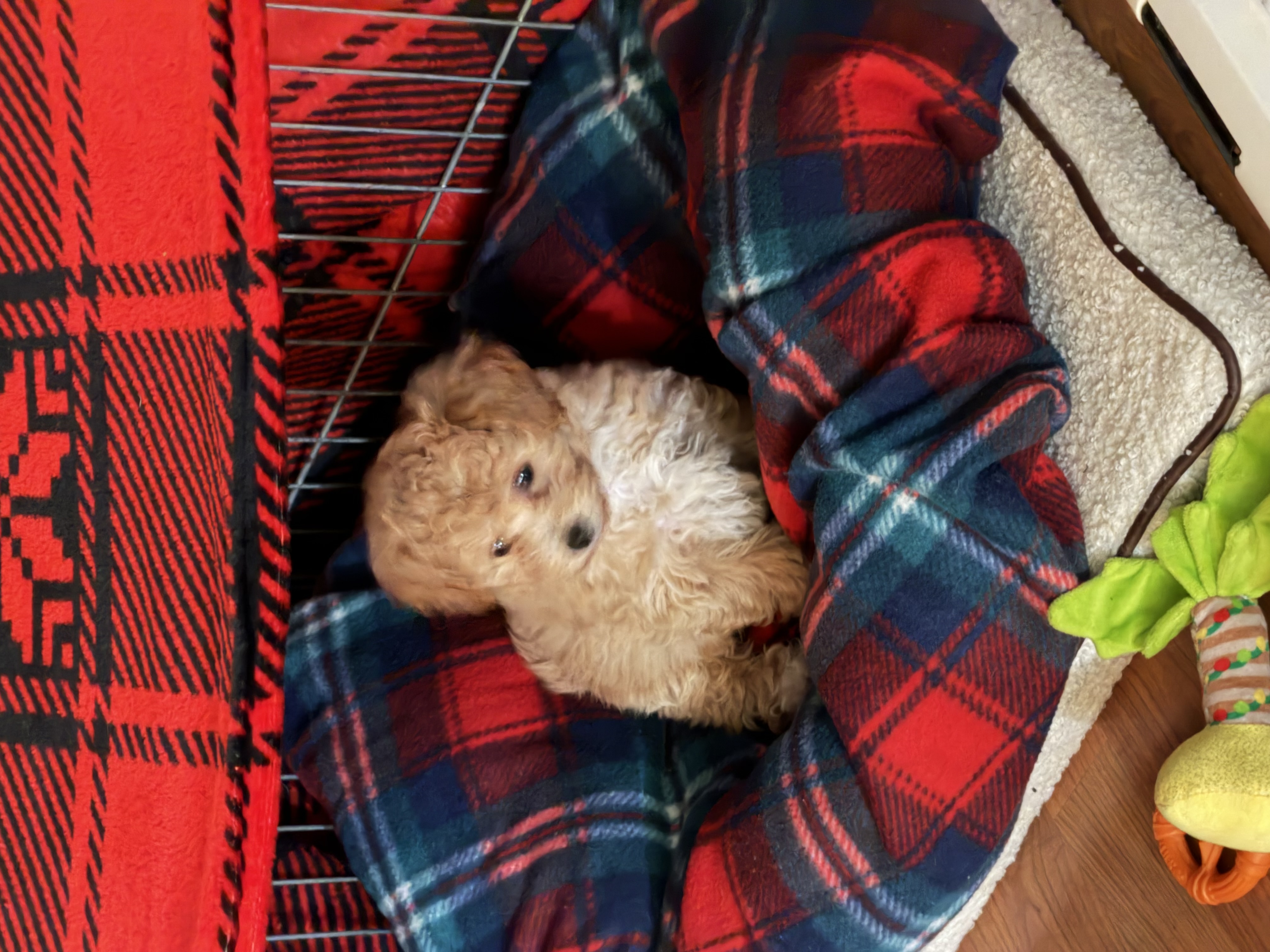 Photo Review Submission from Jennifer Francica