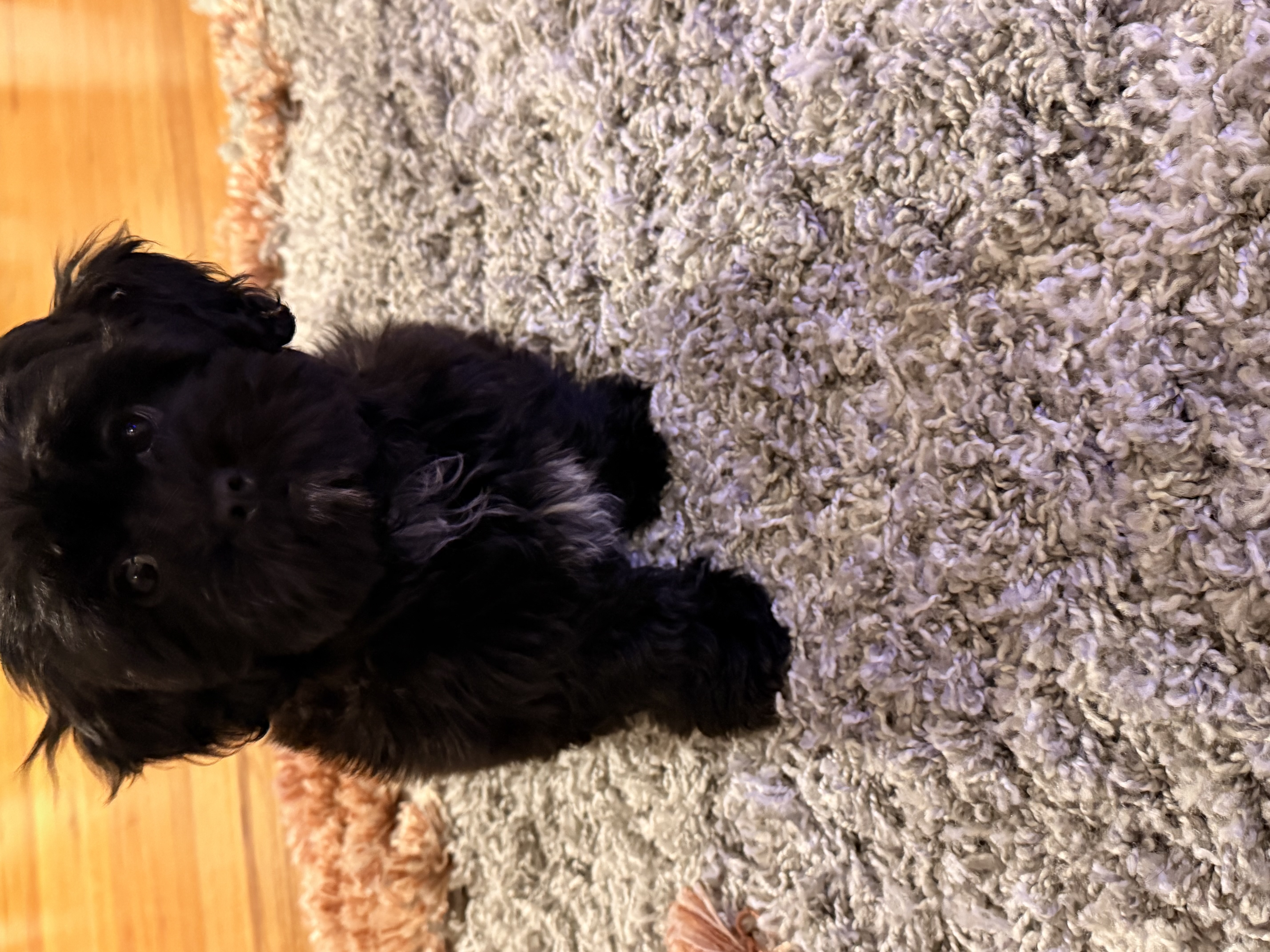 Photo Review Submission from Robin N