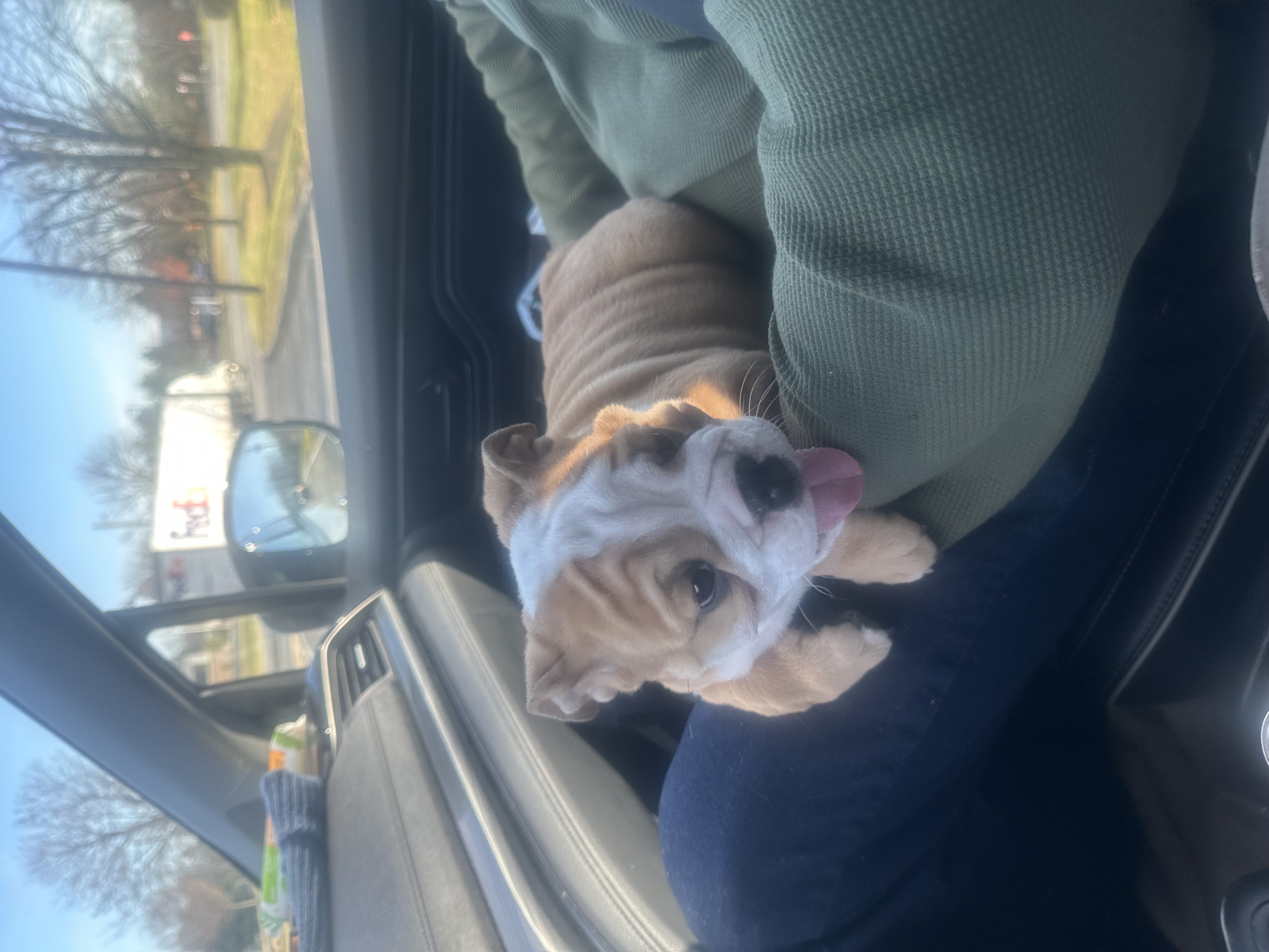 Photo Review Submission from Jerry Marmol