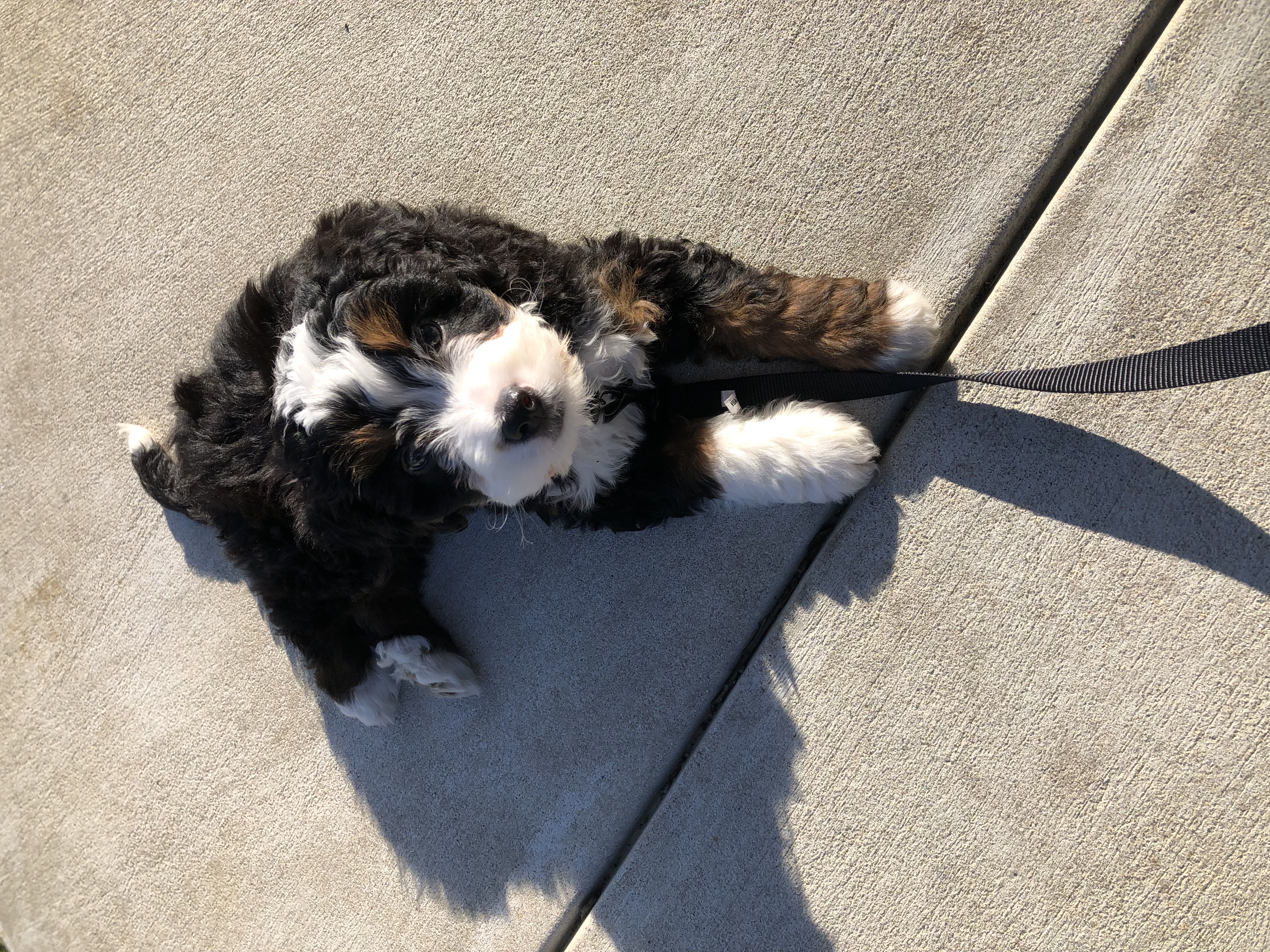 Photo Review Submission from Susan and Chas DeGothseir