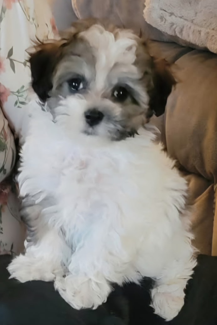 Photo Review Submission from Connie Harman