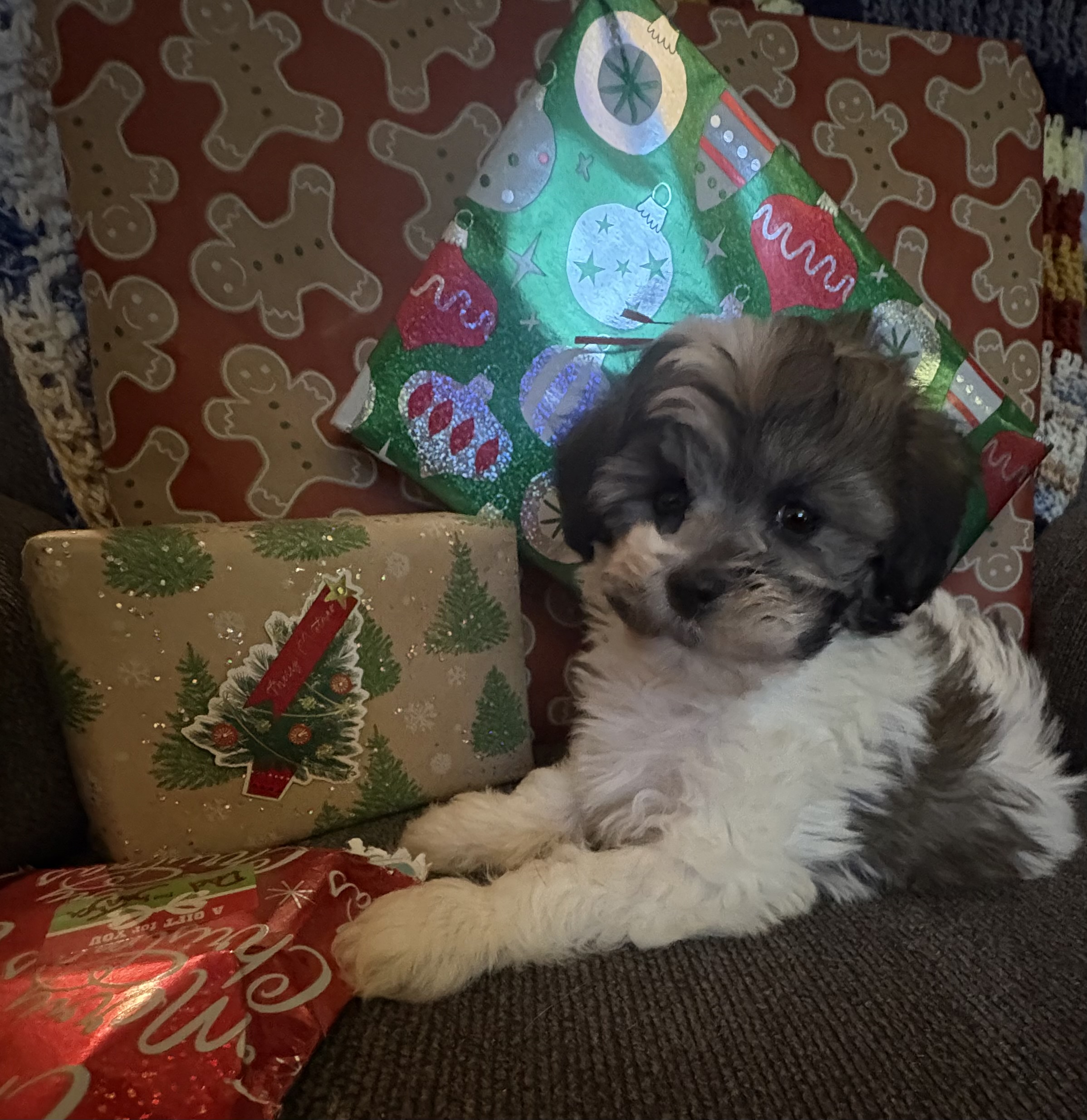 Photo Review Submission from Amy Fravel