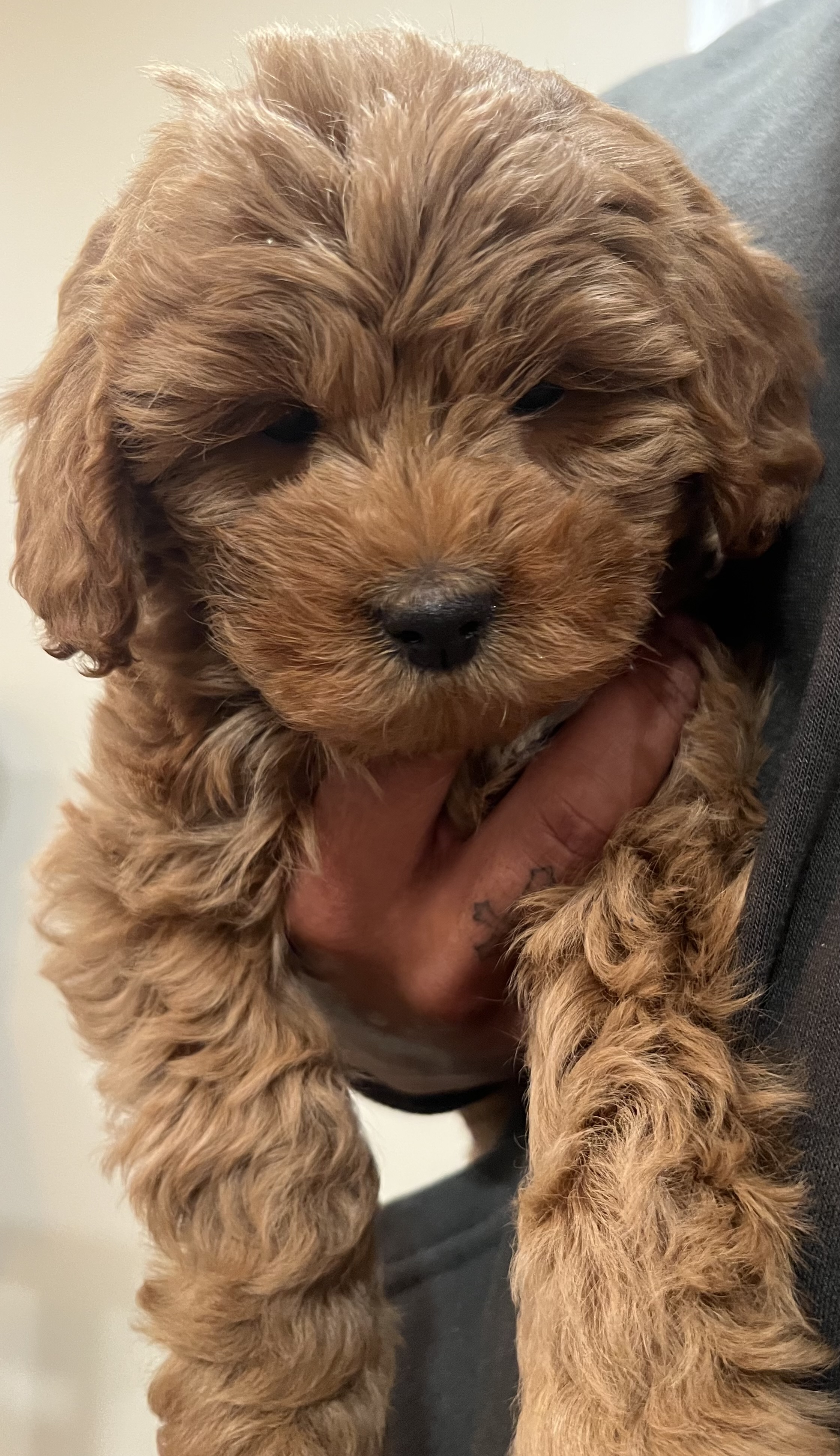 Photo Review Submission from Luis P