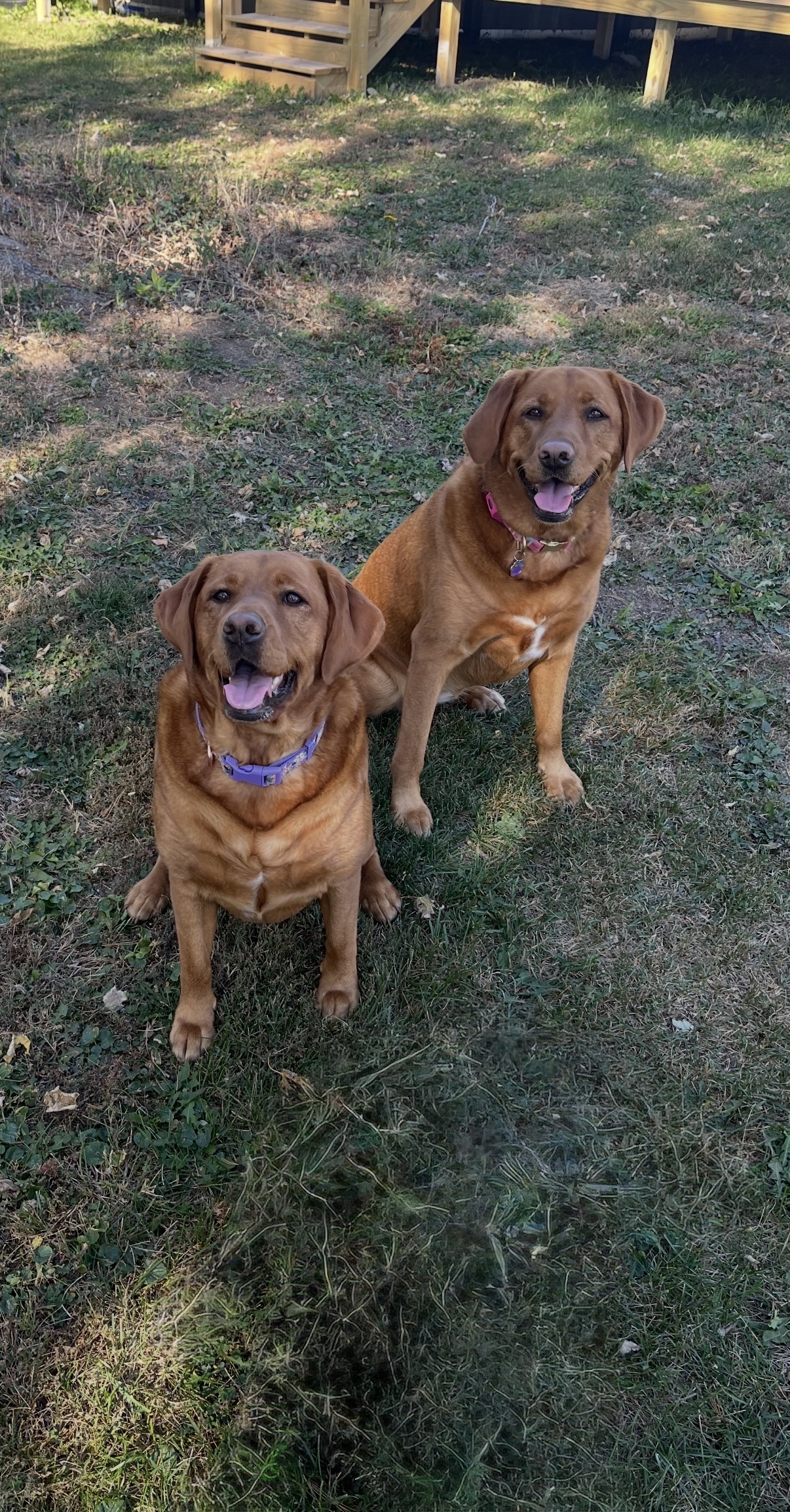 Photo Review Submission from Emmaly Pleckham