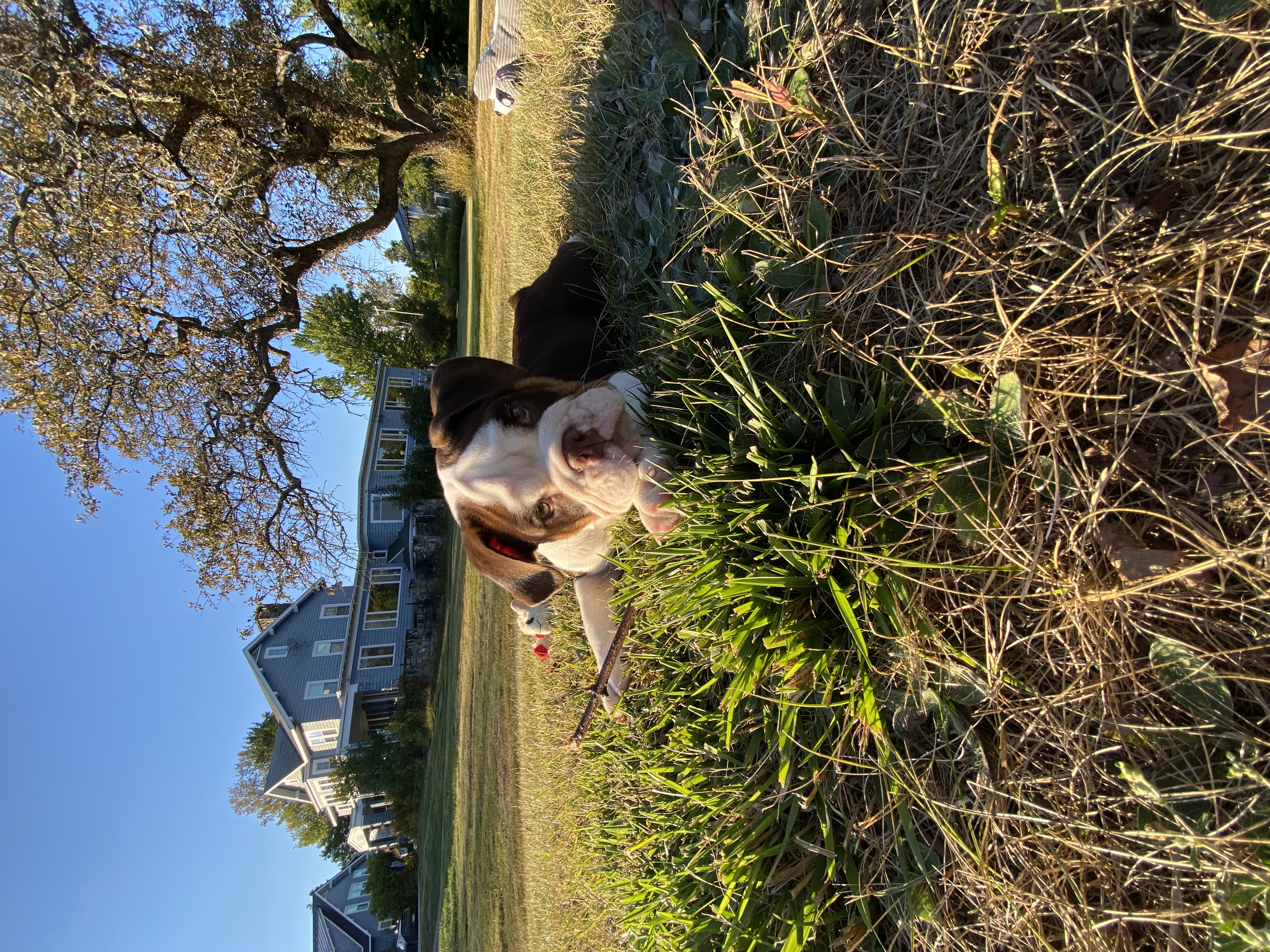 Photo Review Submission from Vero Villalobos