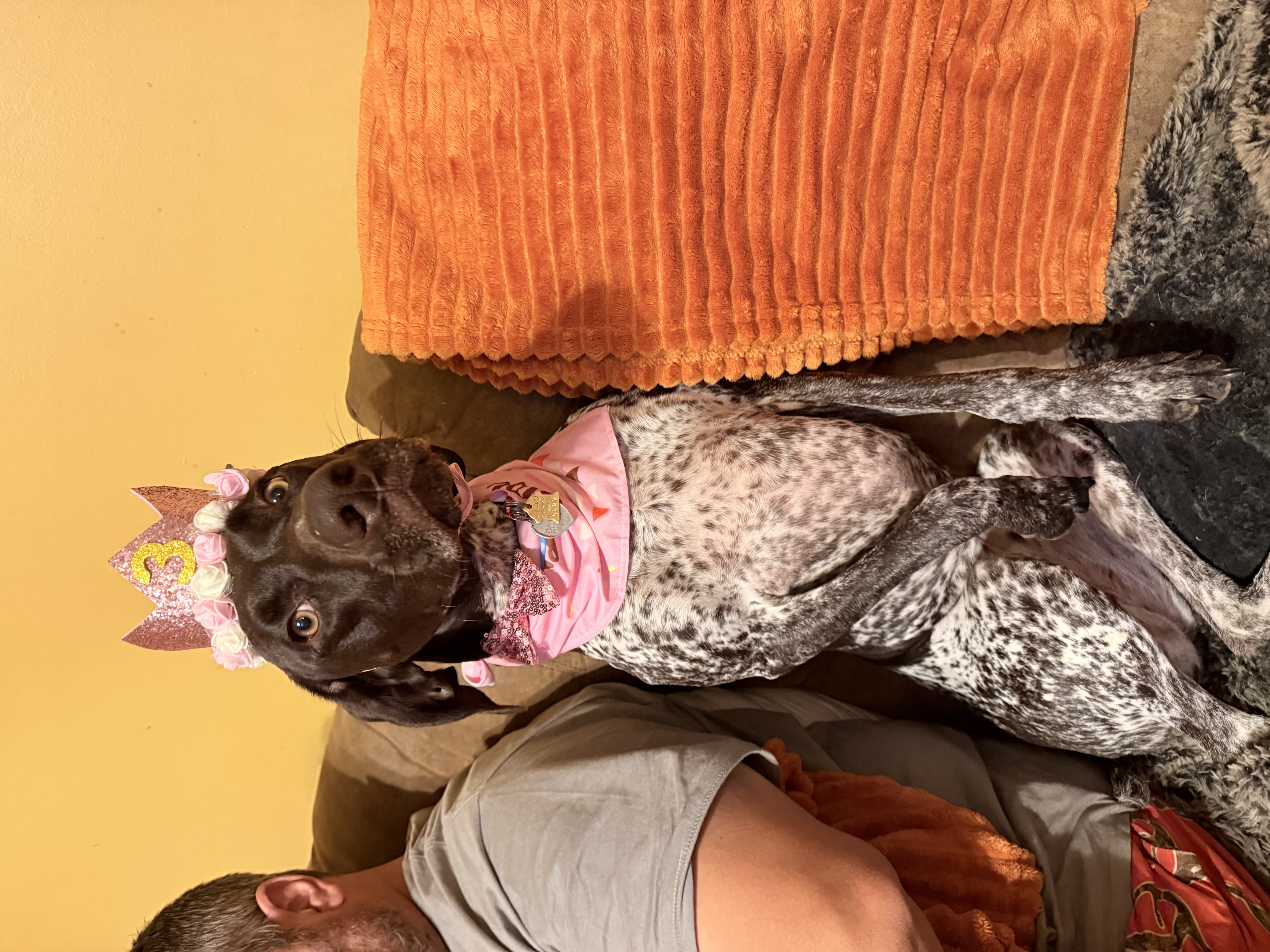 Photo Review Submission from Alicia Pichalski