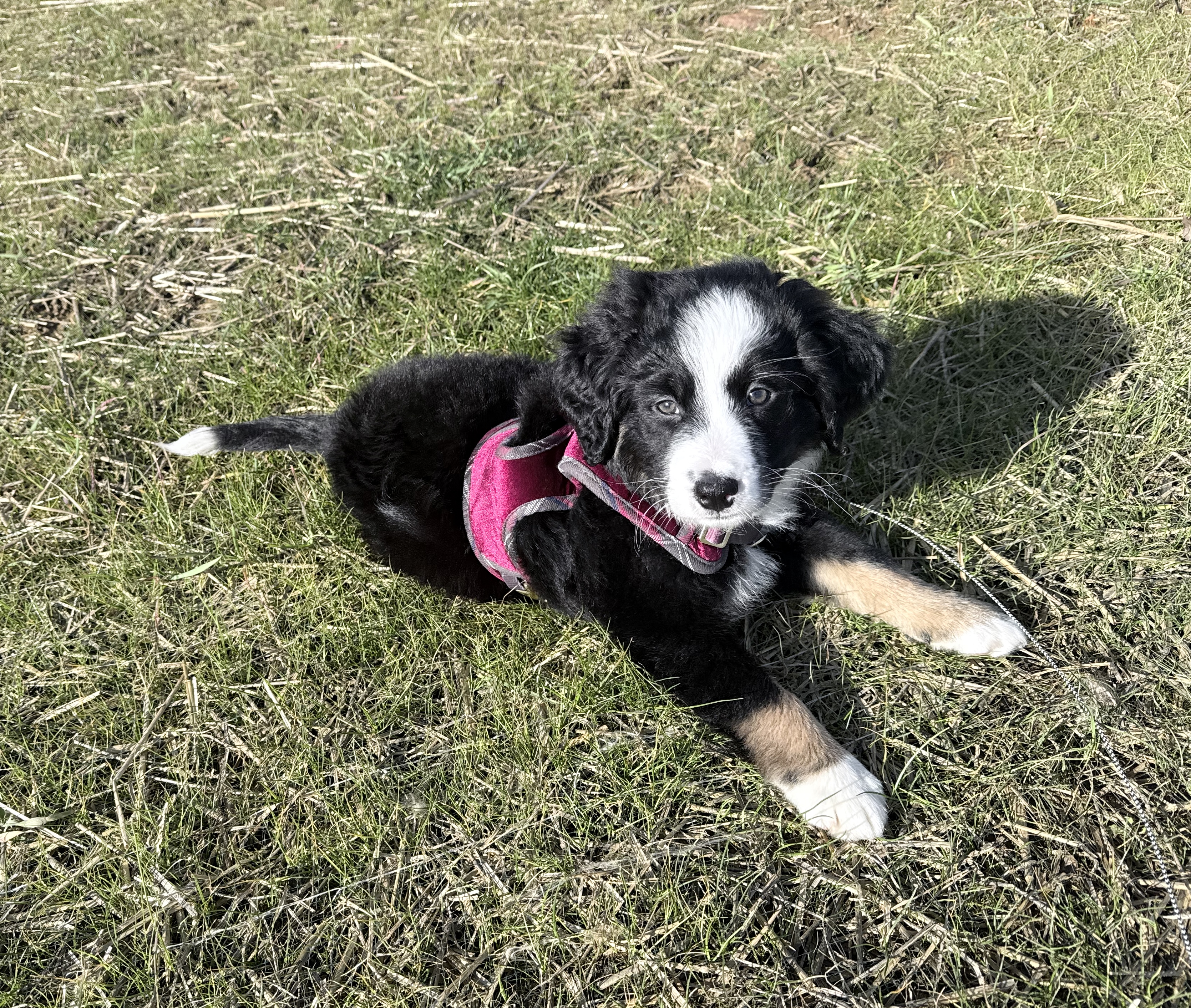 Photo Review Submission from Tony Alfieri