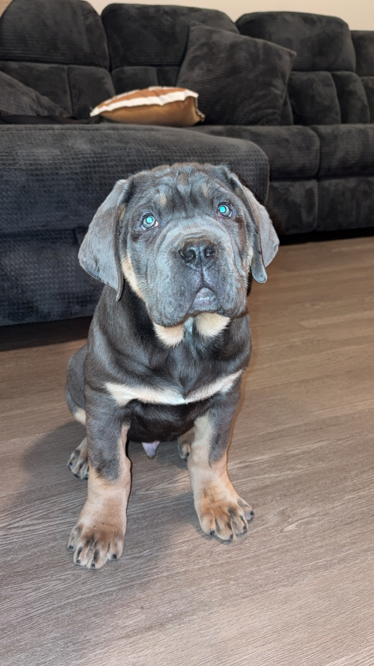 Photo Review Submission from S Rogers