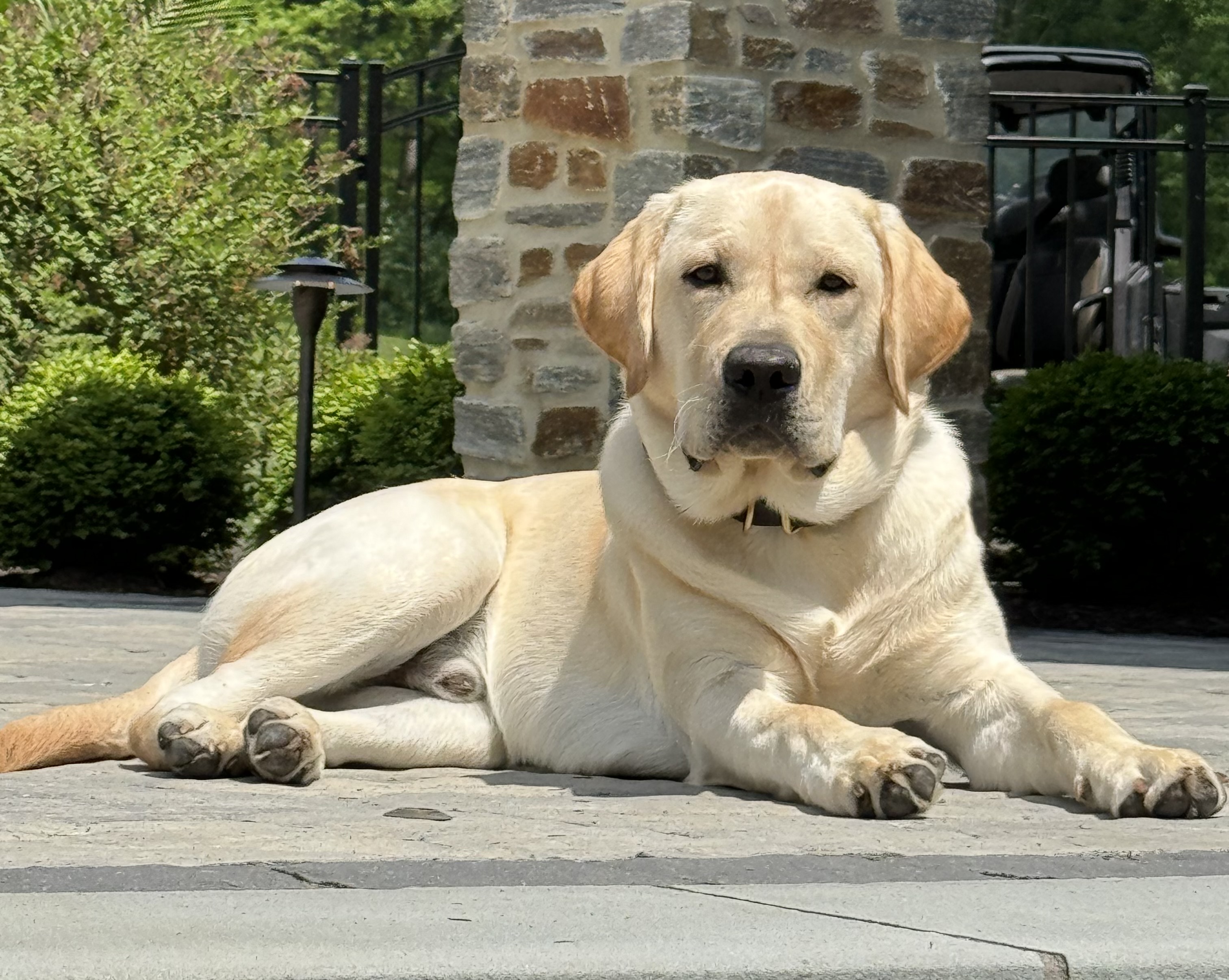 Photo Review Submission from Don Harris