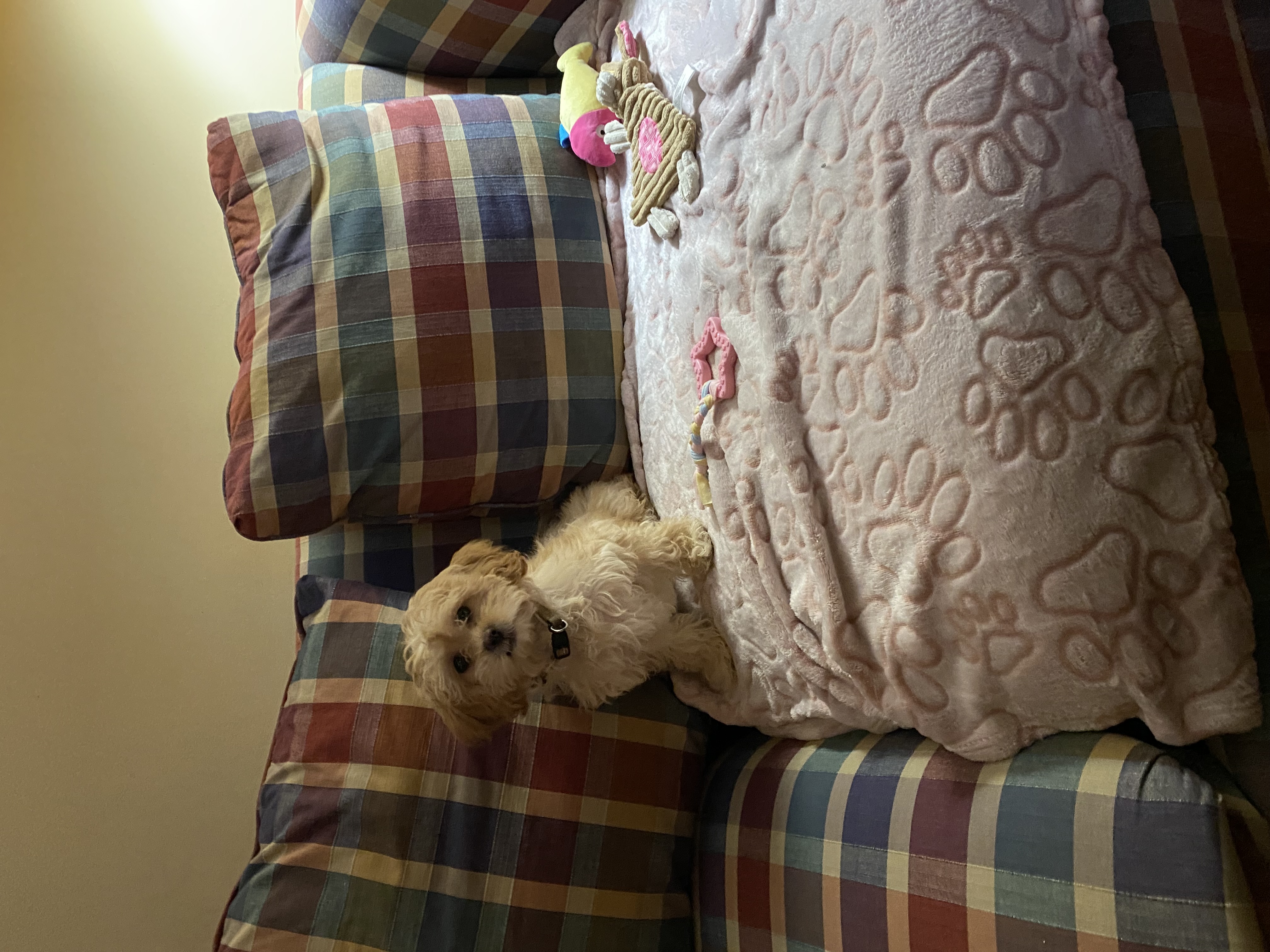 Photo Review Submission from Kate Magee