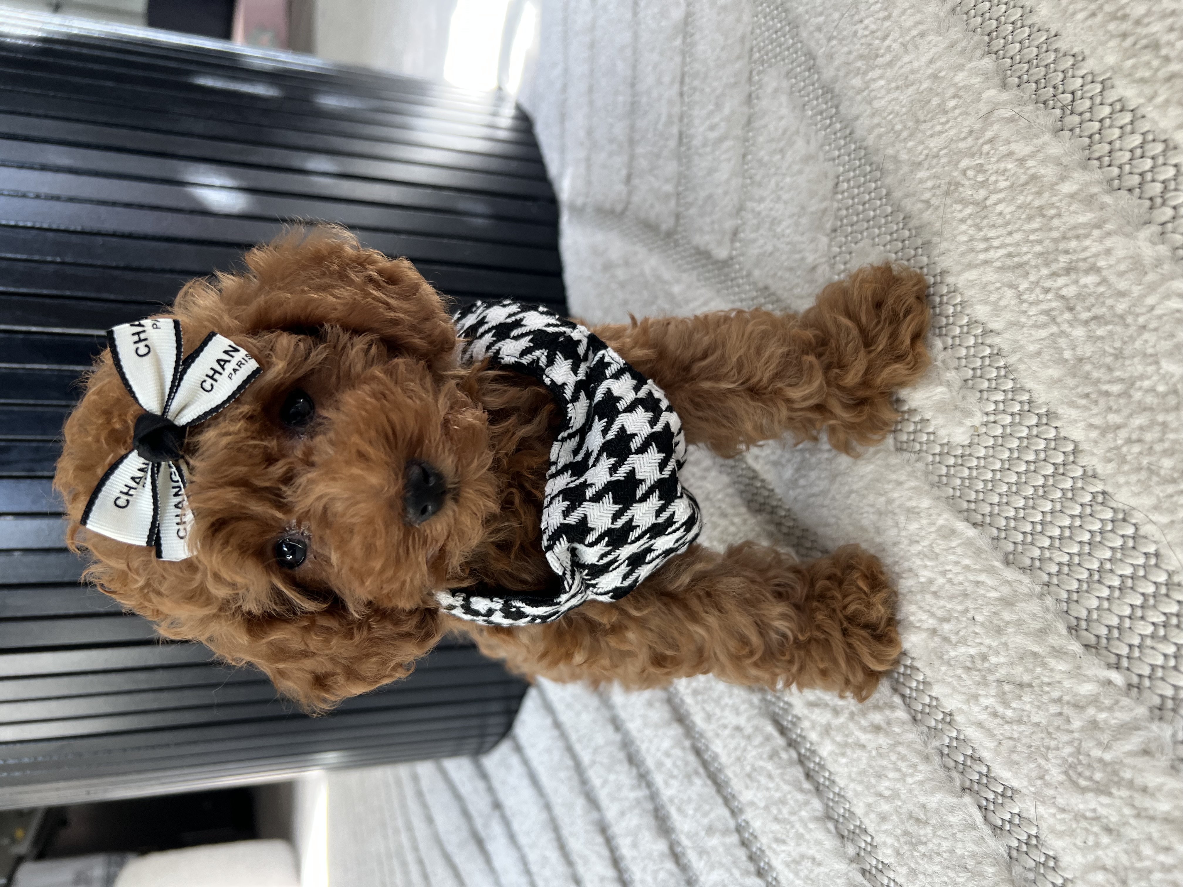 Photo Review Submission from Lilly Lilly