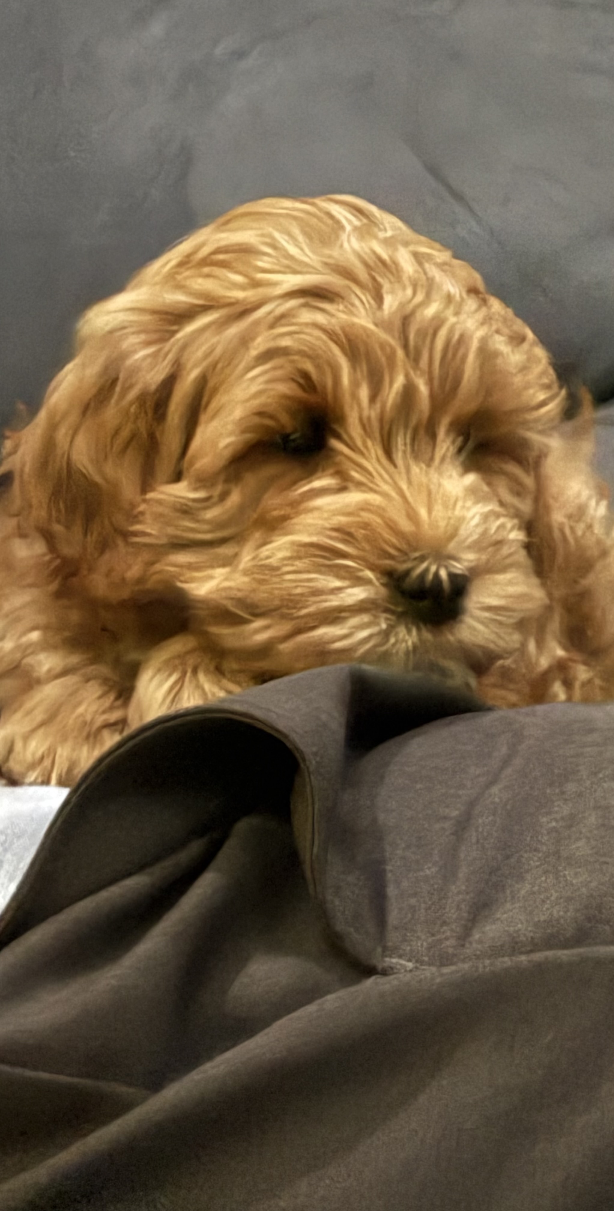 Photo Review Submission from Chrissy DiBella