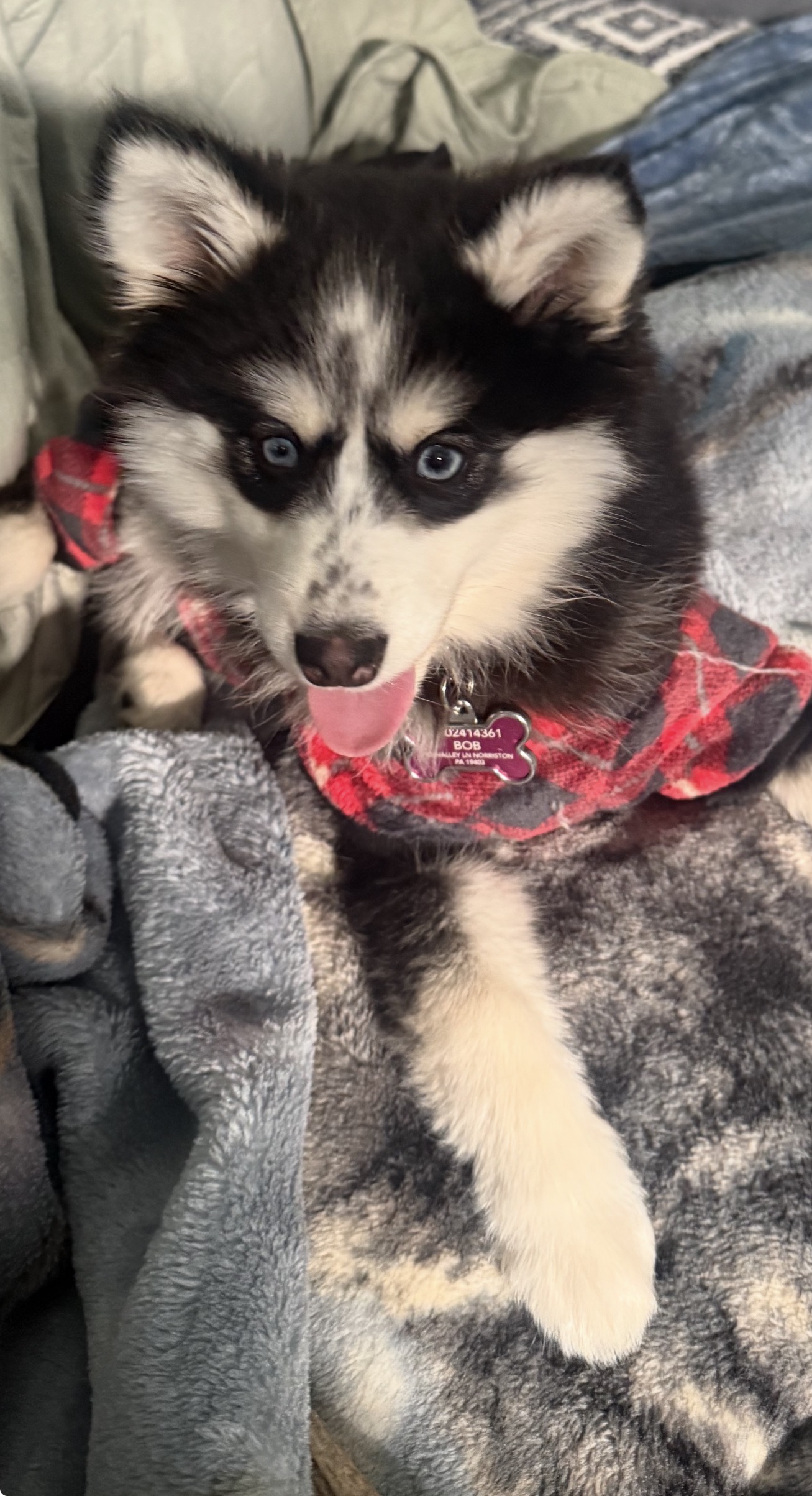 Photo Review Submission from Bob Cook