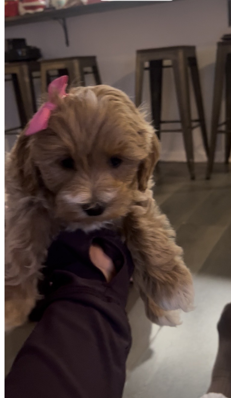 Photo Review Submission from Jessenia Cabezas