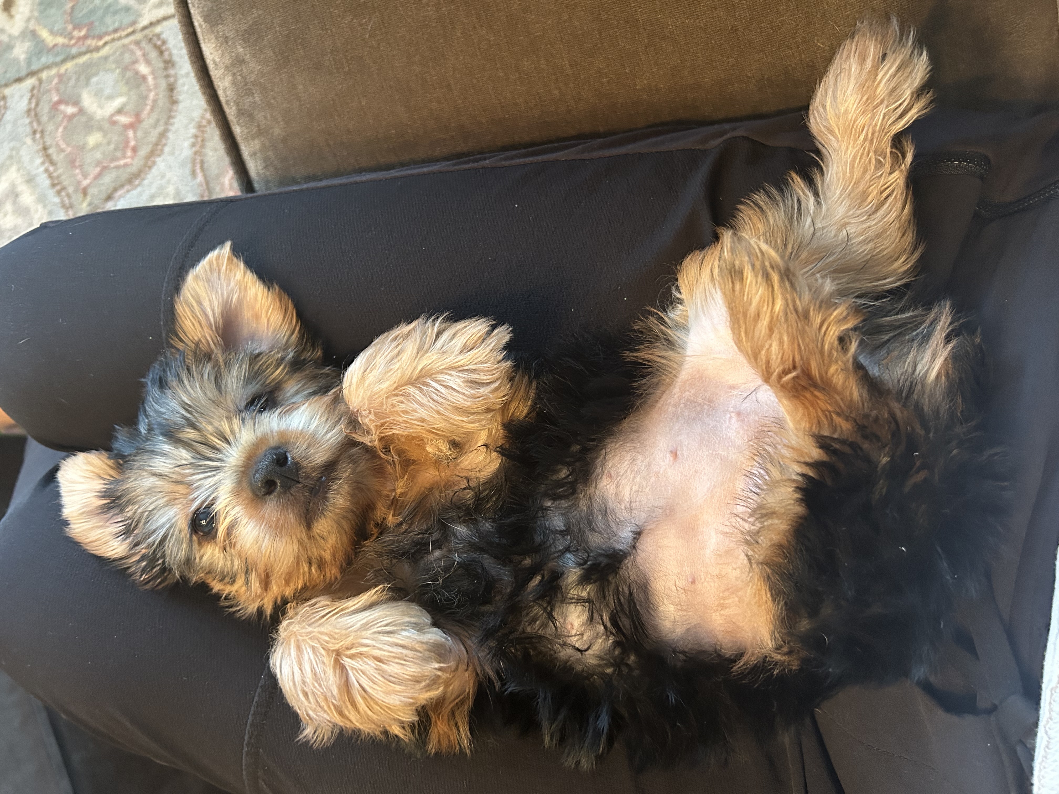 Photo Review Submission from Kristin Manogue