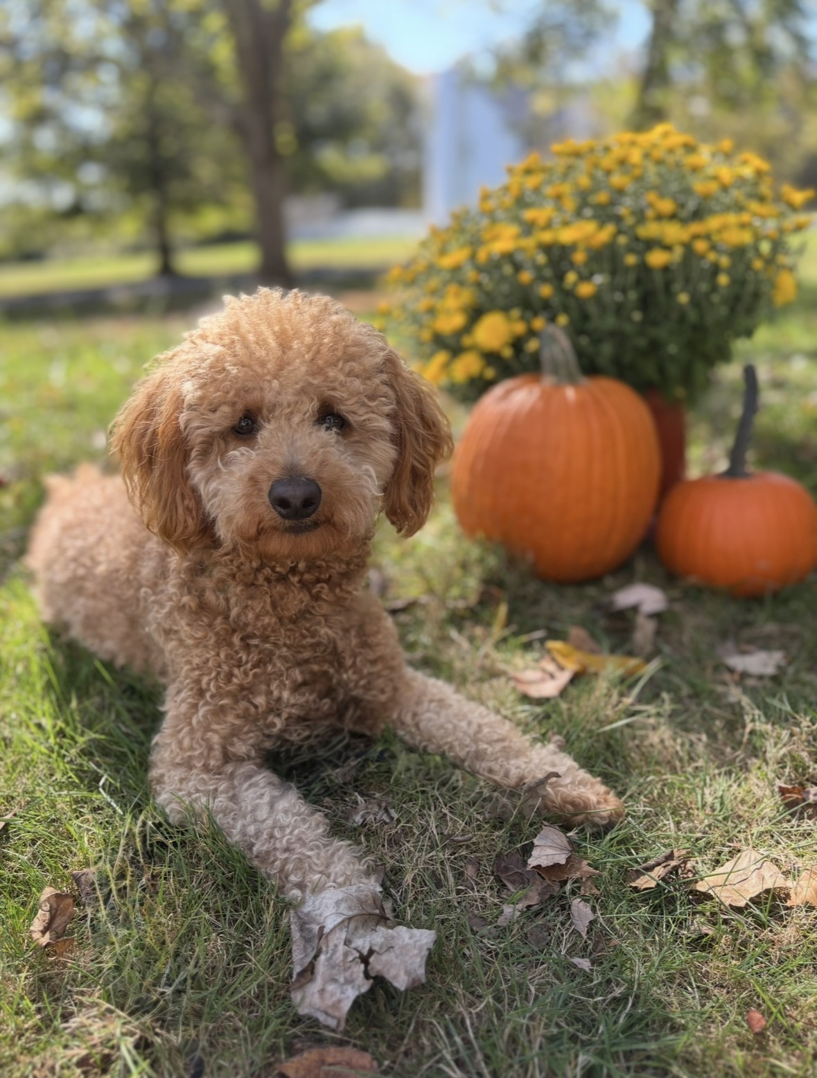 Photo Review Submission from Rose S