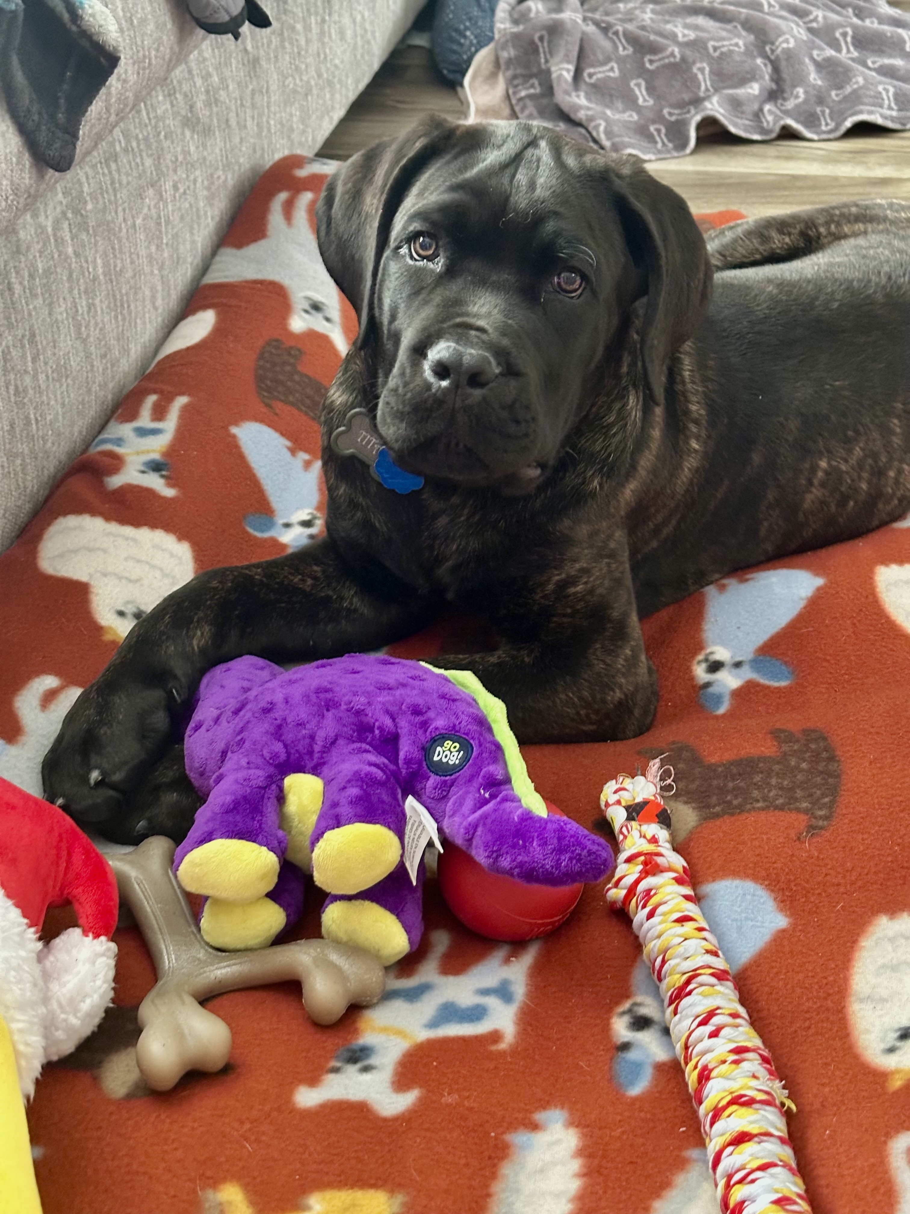 Photo Review Submission from Jillian Schmitt