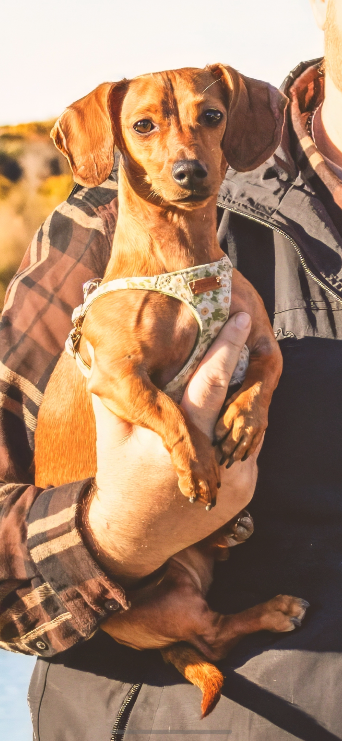 Photo Review Submission from Caroline Cuesta