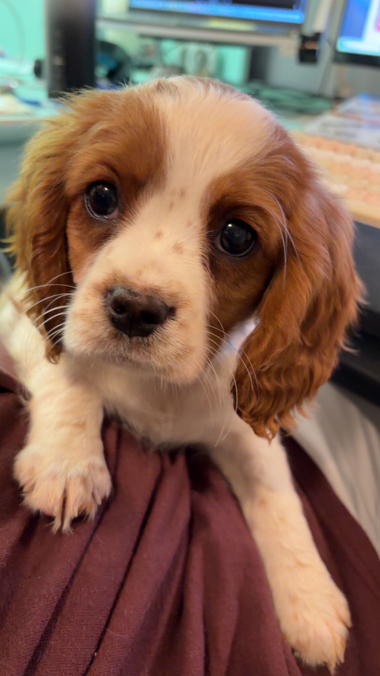 Photo Review Submission from Jennifer Gough