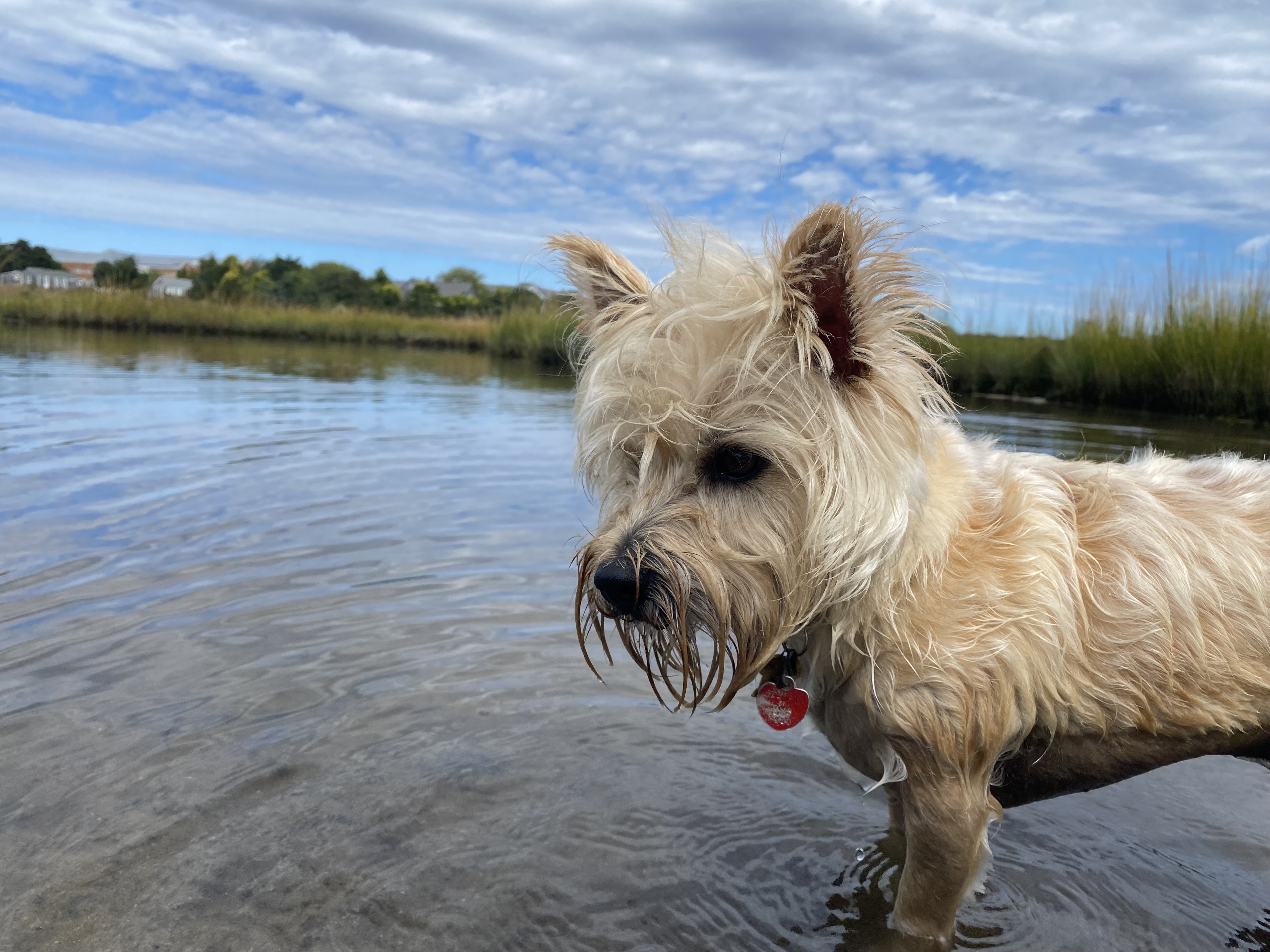 Photo Review Submission from Simone Geary