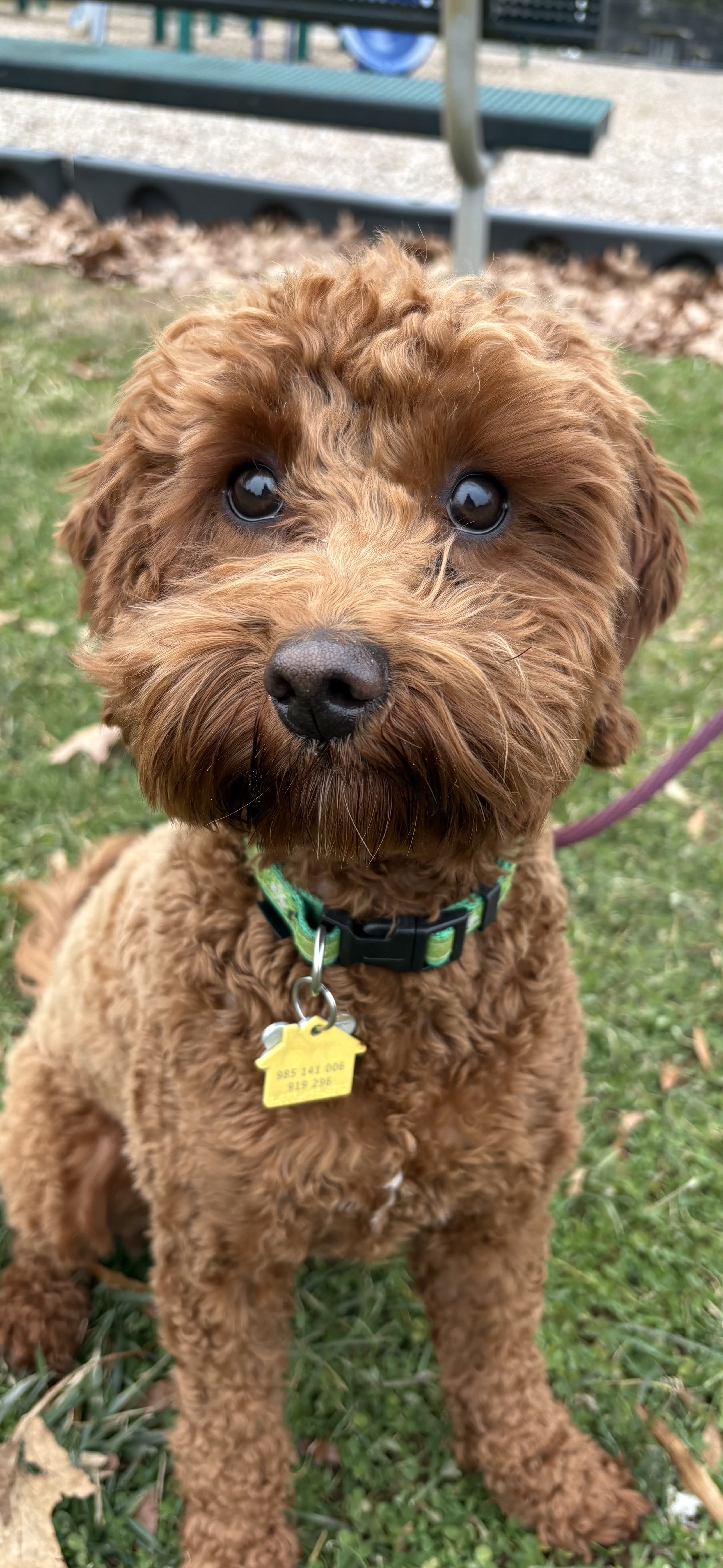 Photo Review Submission from Jackie Ffrench