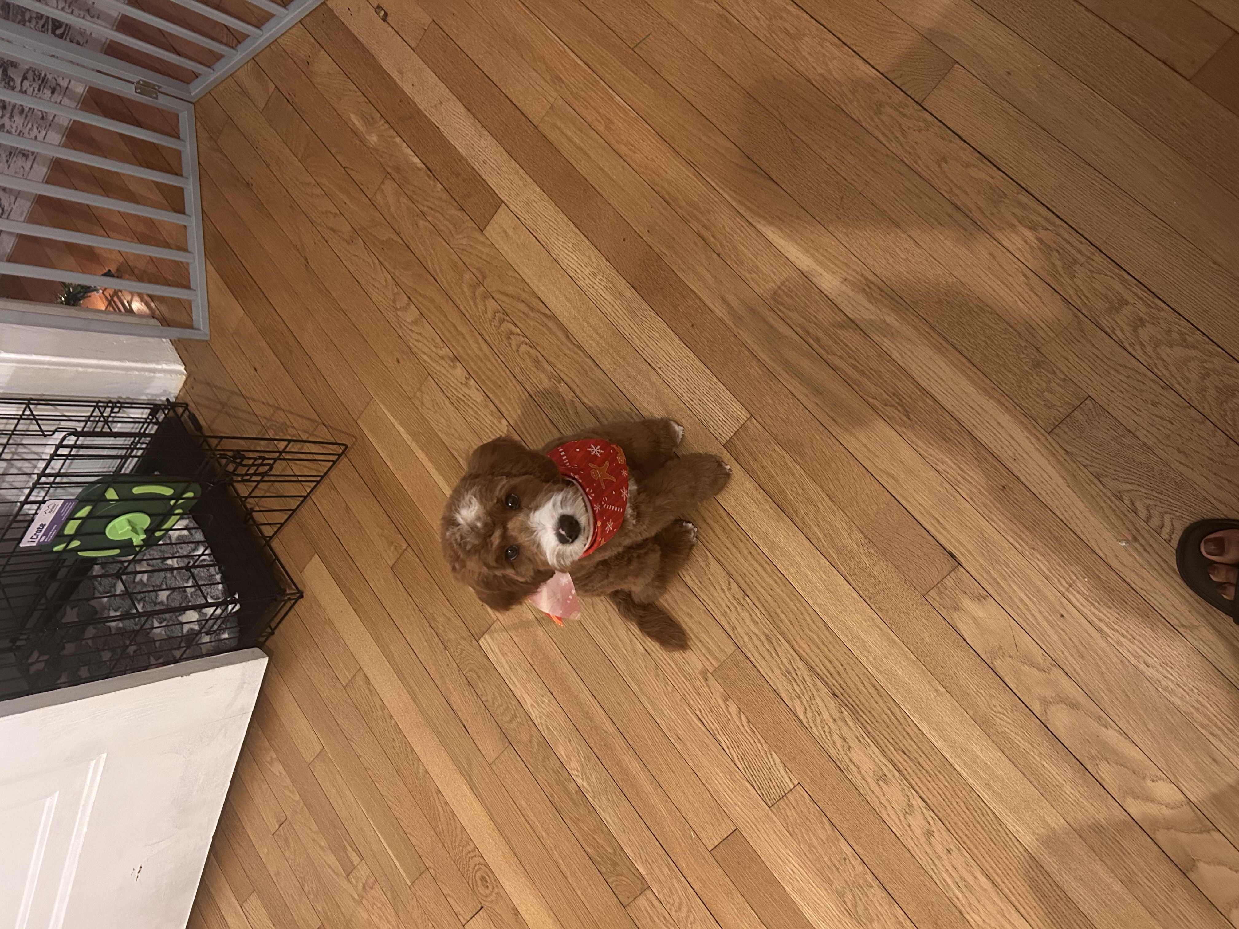 Photo Review Submission from S Martinez