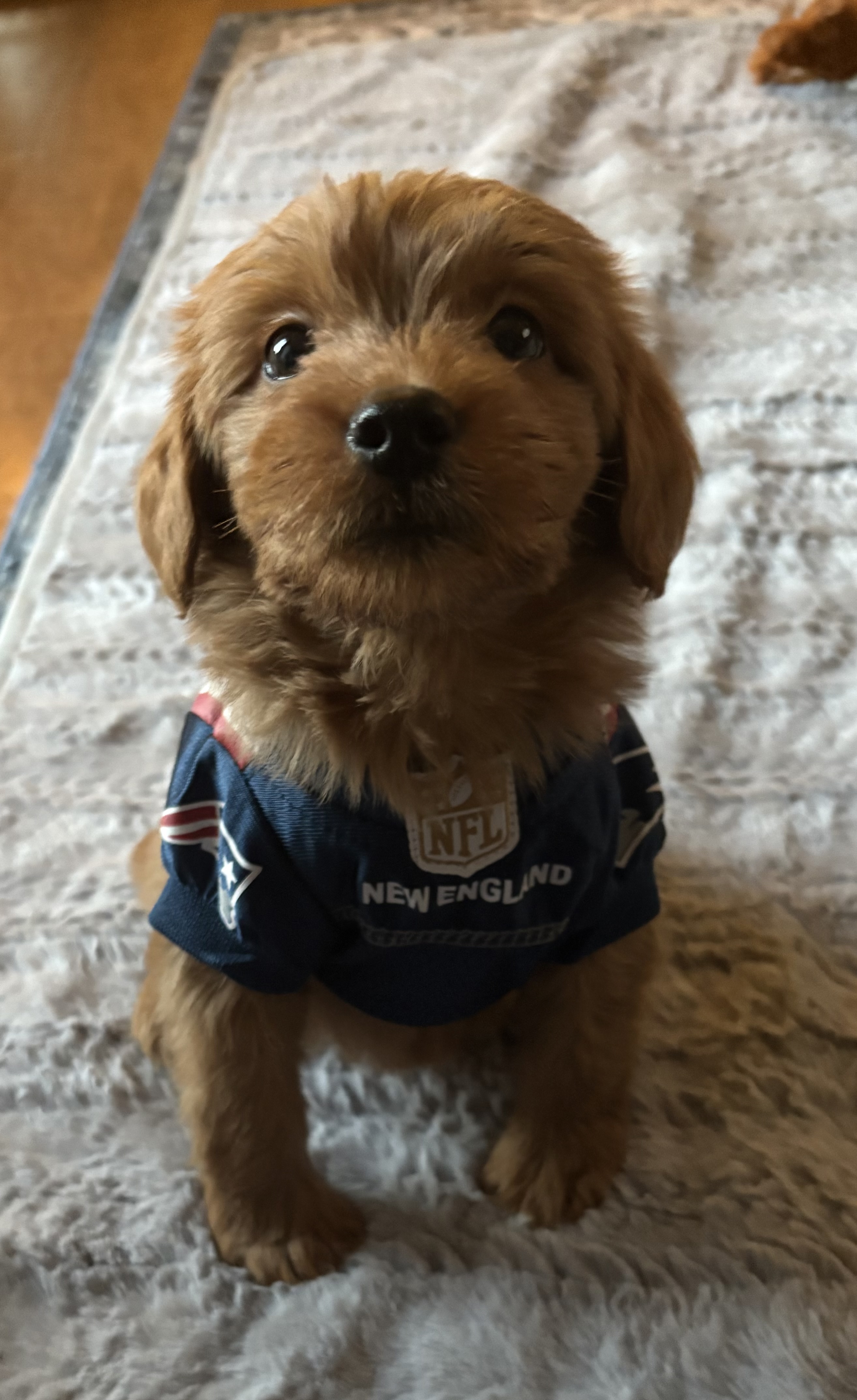 Photo Review Submission from Michele Sousa