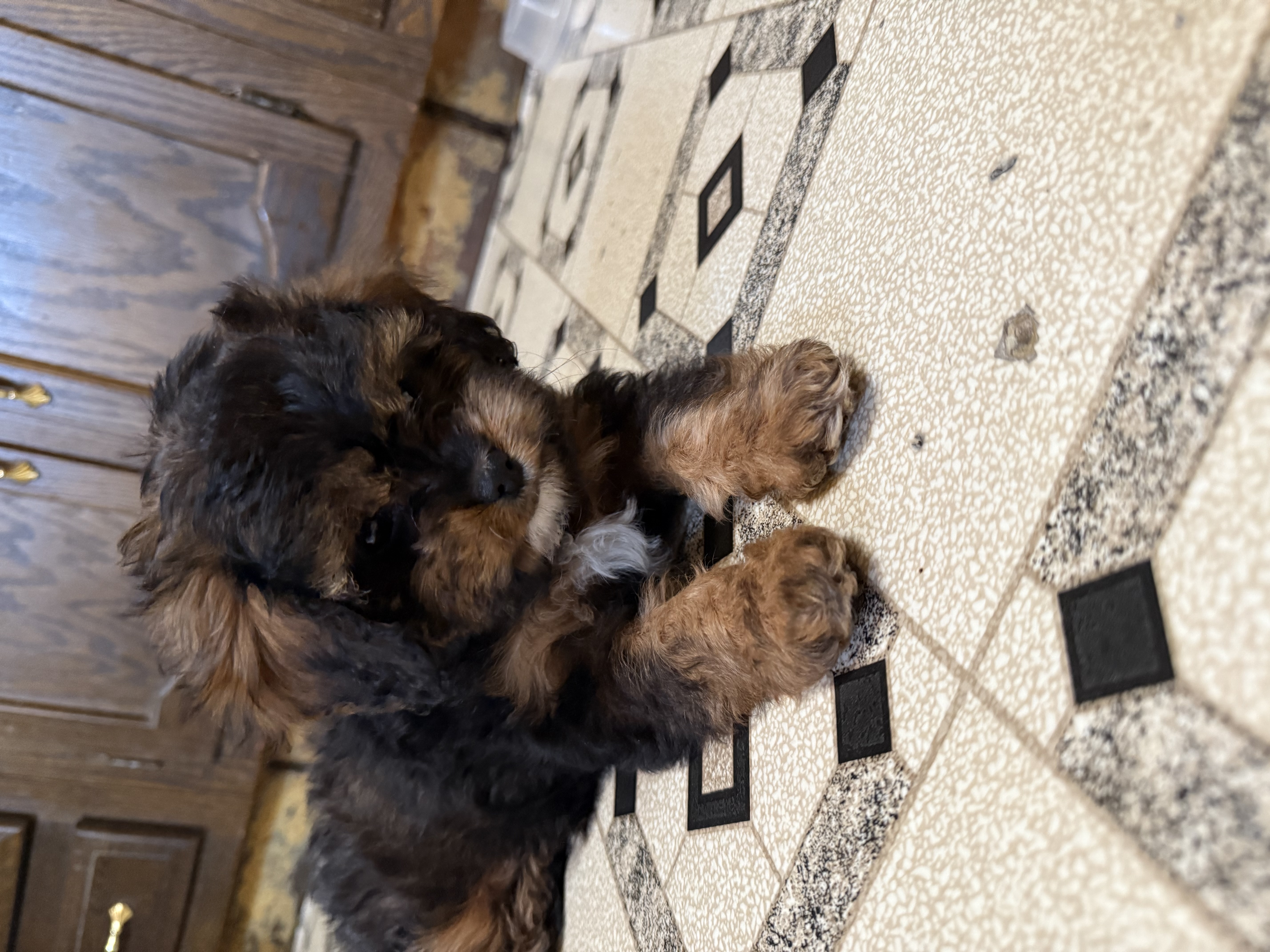 Photo Review Submission from Rob Miller