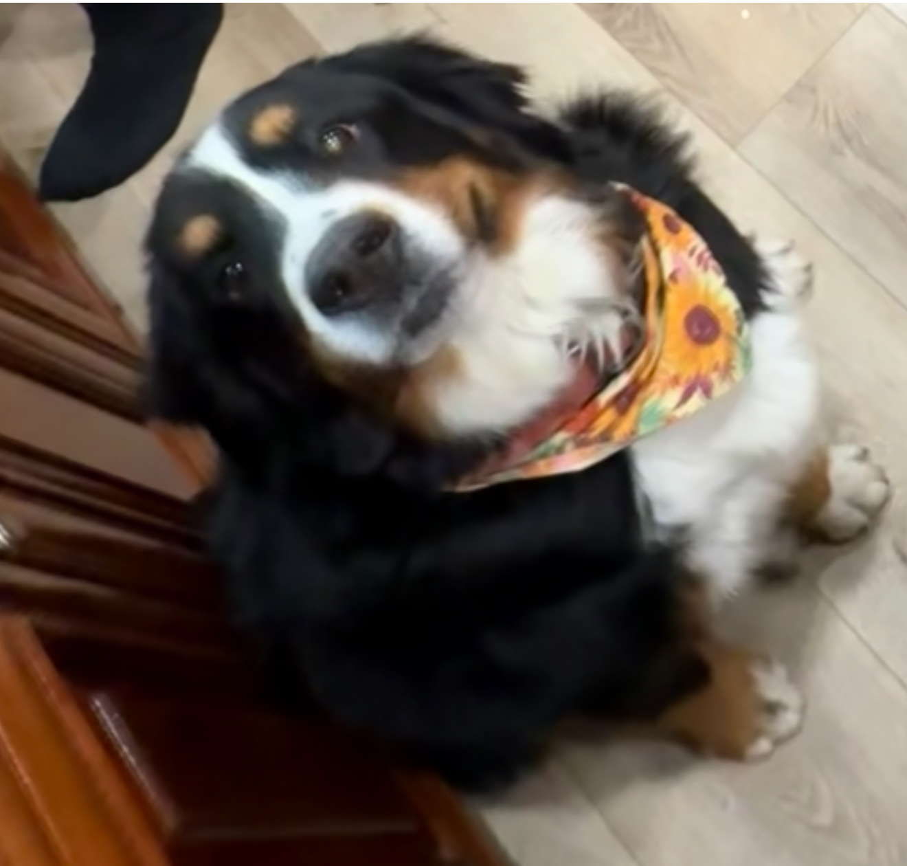 Photo Review Submission from Kristyann Miller