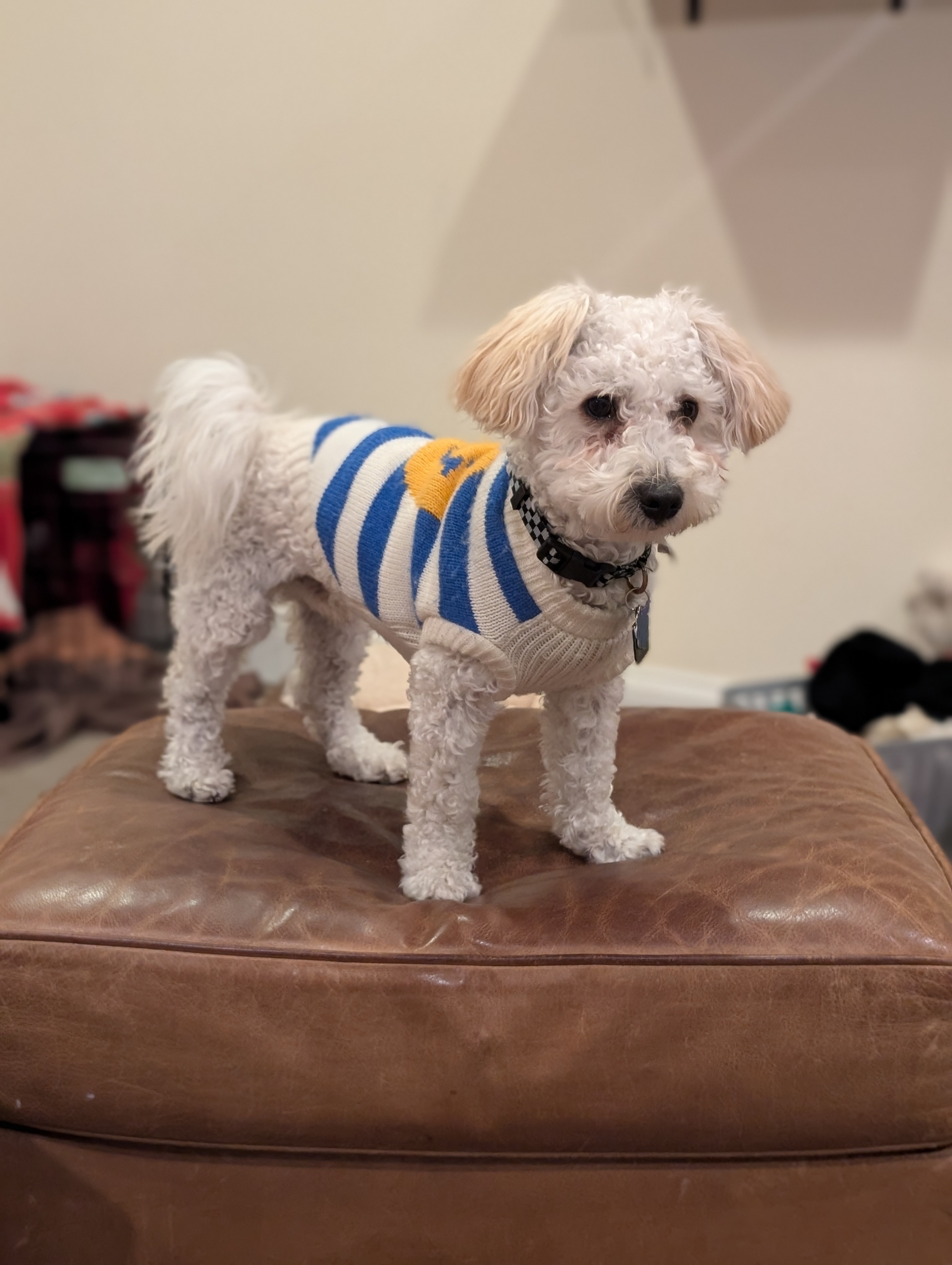 Photo Review Submission from Melaina Conroy