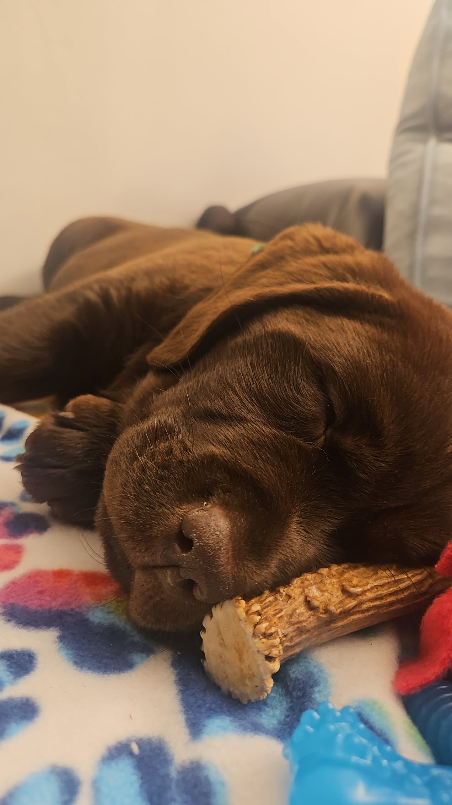 Photo Review Submission from Sarah N