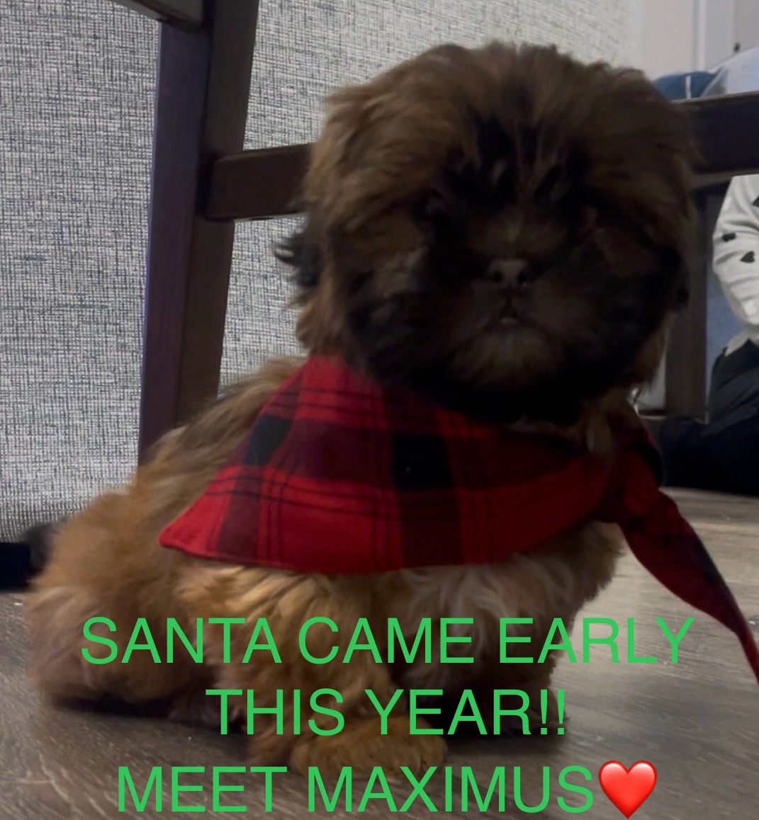 Photo Review Submission from Rose Mary Sciandra