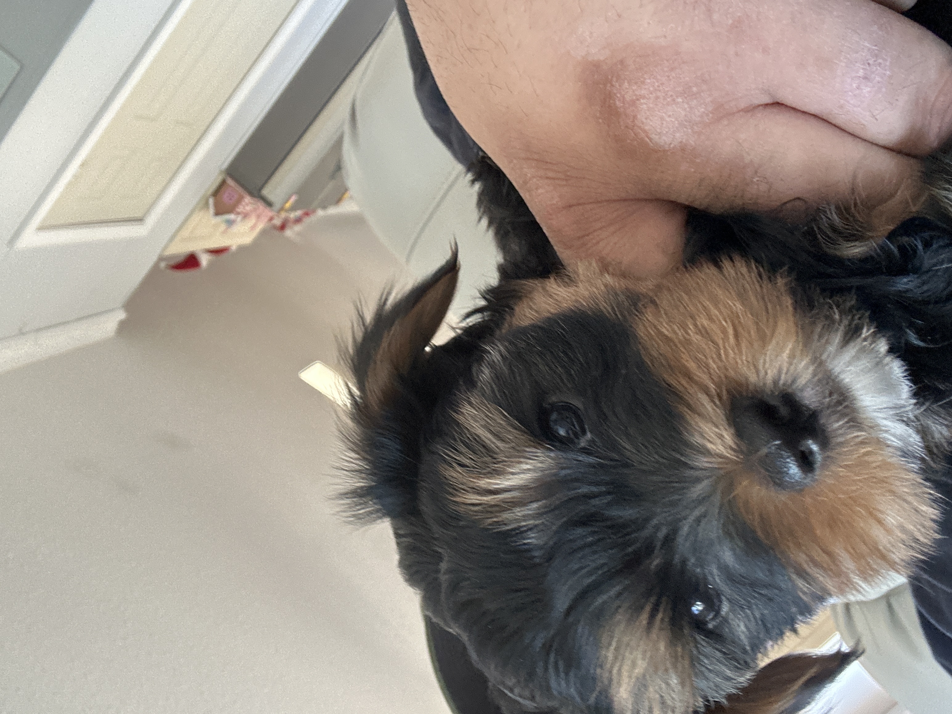 Photo Review Submission from Zachary Lucas