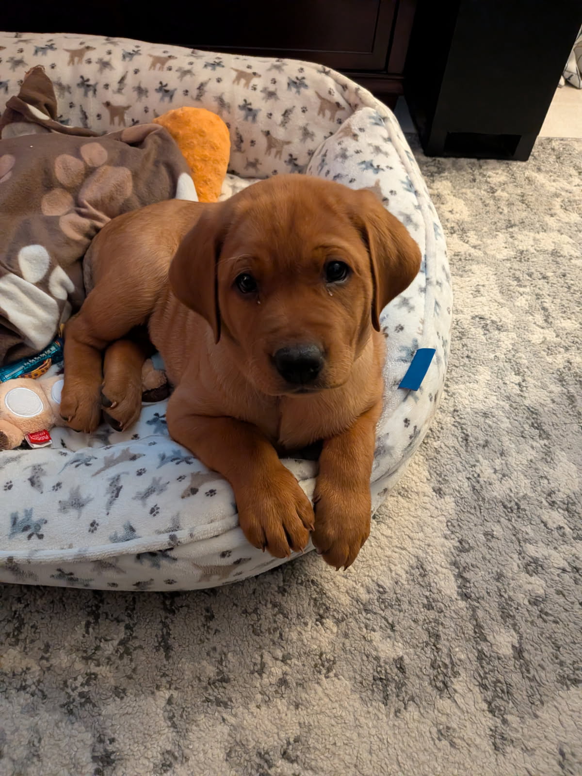 Photo Review Submission from Joseph McAroy Sr.