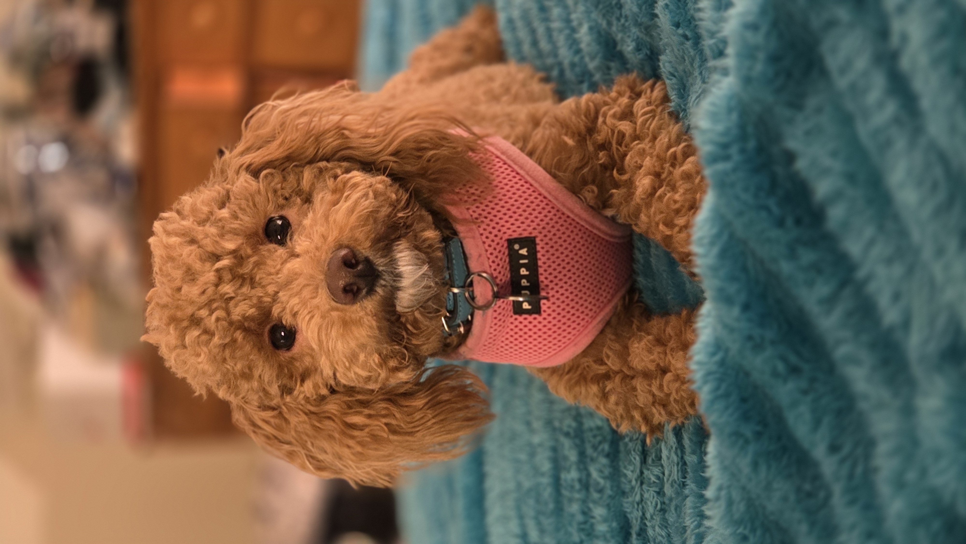 Photo Review Submission from Deborah Hinton