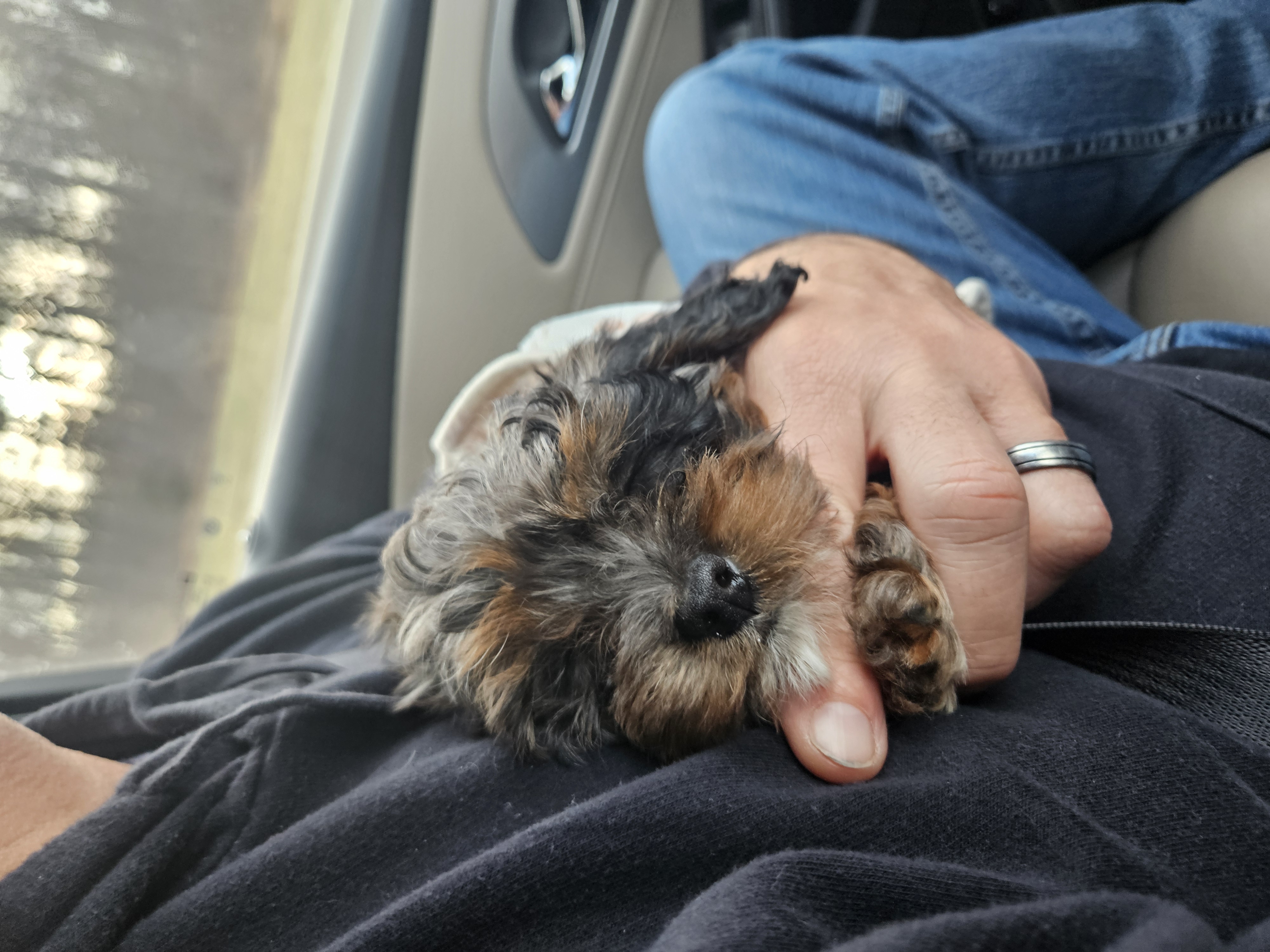 Photo Review Submission from Kristen Fortuna